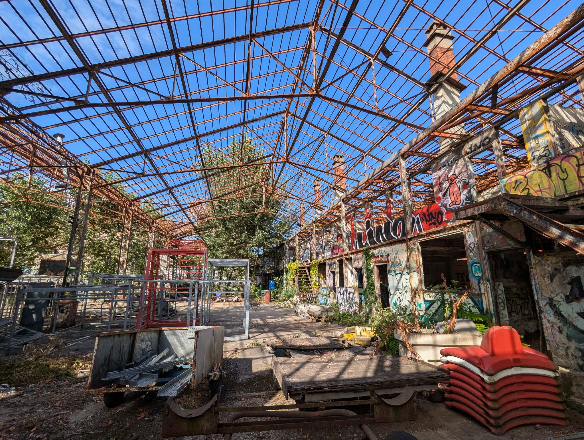 PXL 20240815 153719232