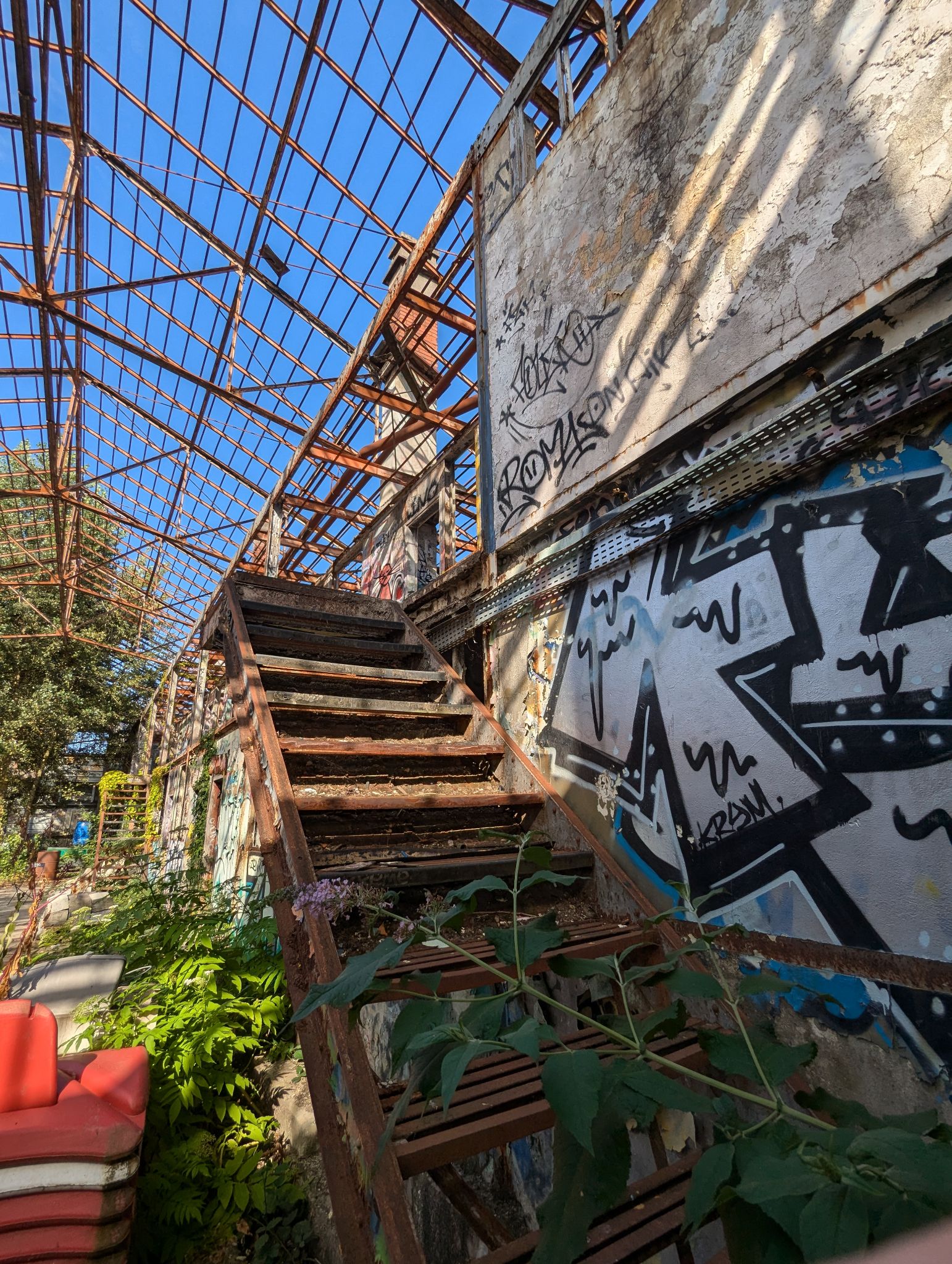 PXL 20240815 153733198