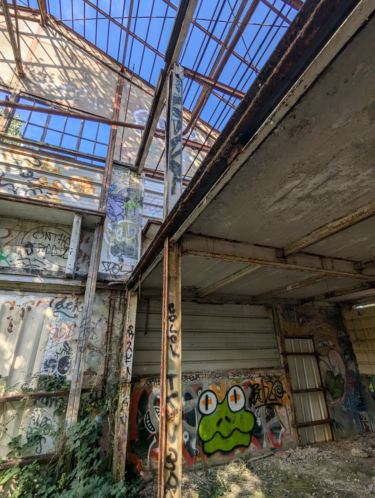 PXL 20240815 153859448