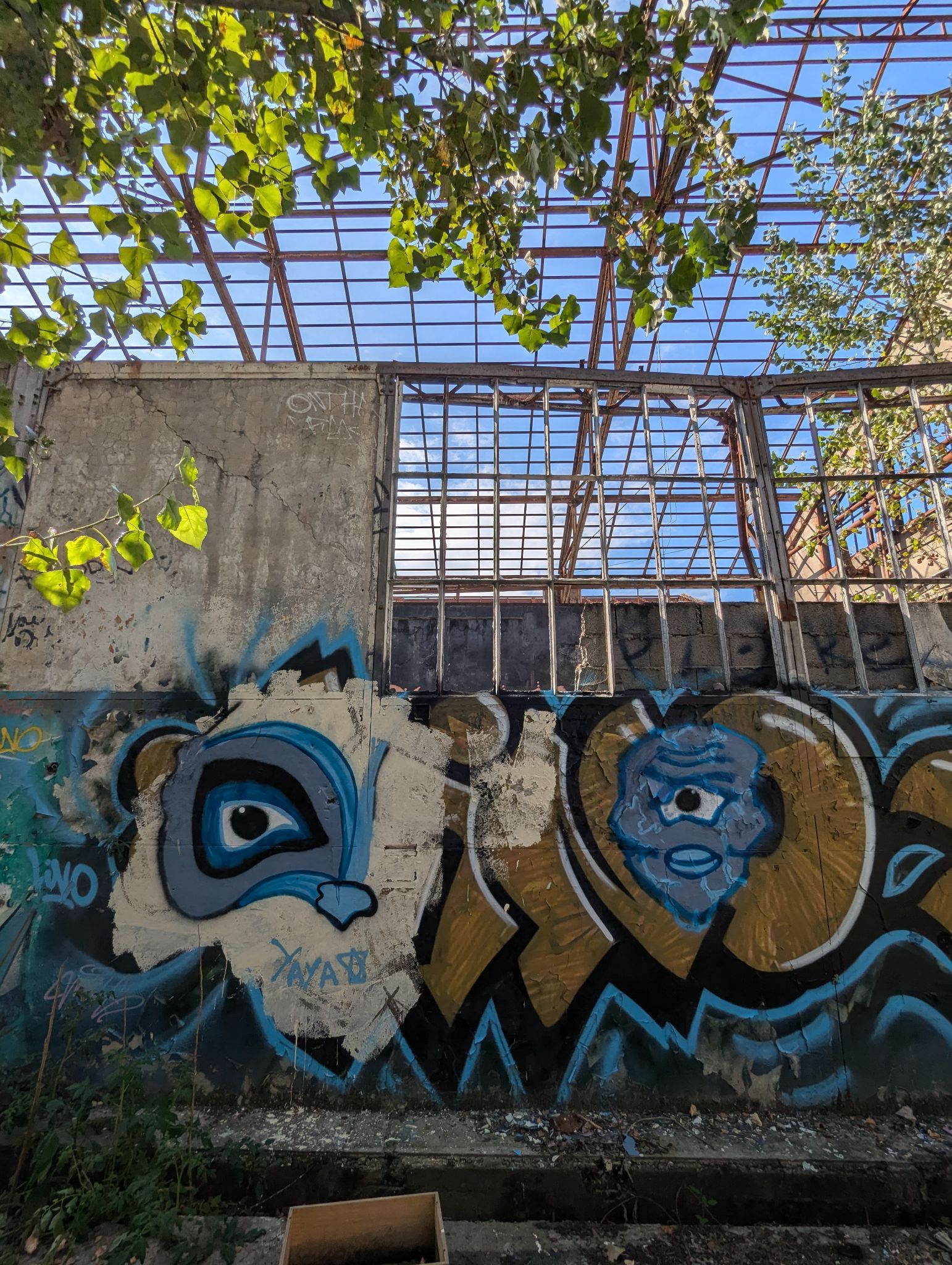 PXL 20240815 153934889