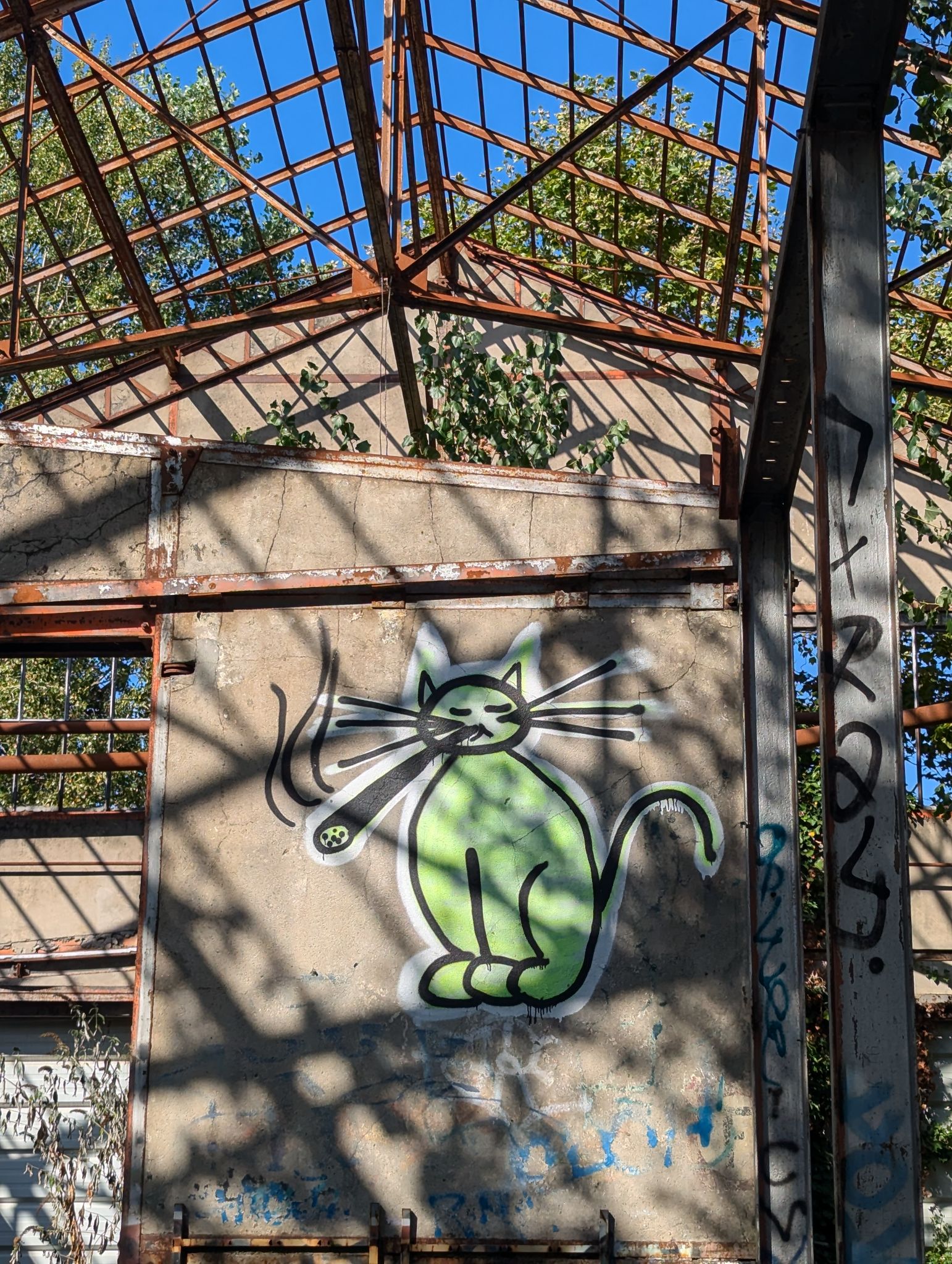 PXL 20240815 154120807