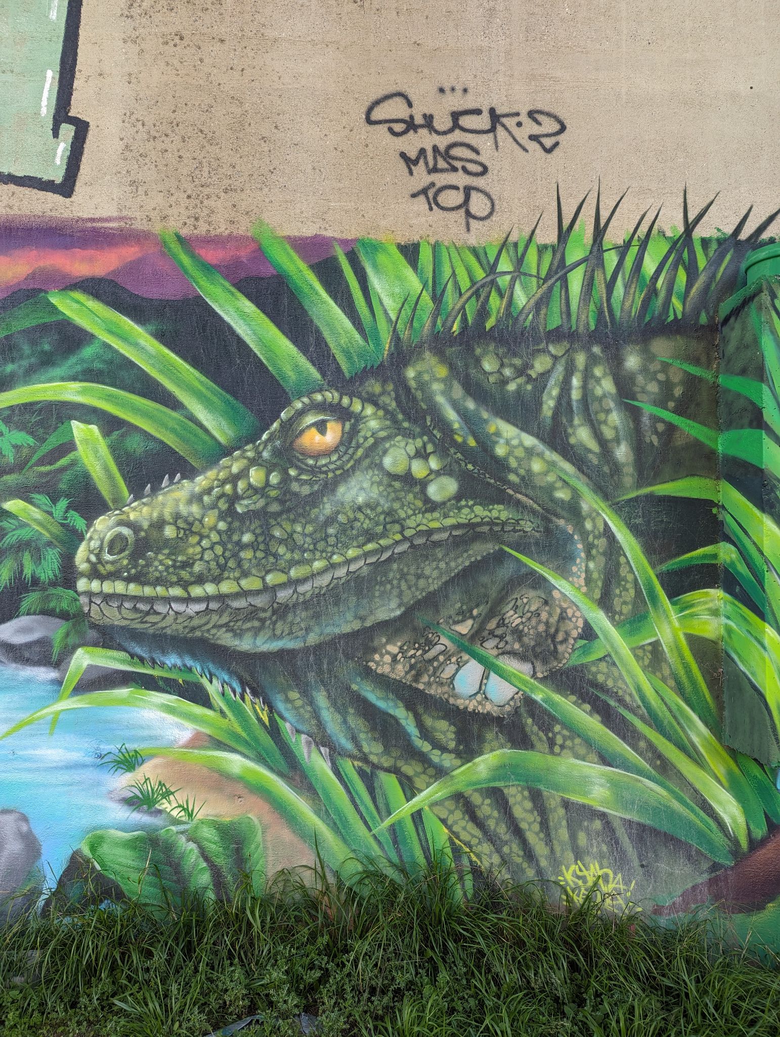 PXL 20240125 155015013