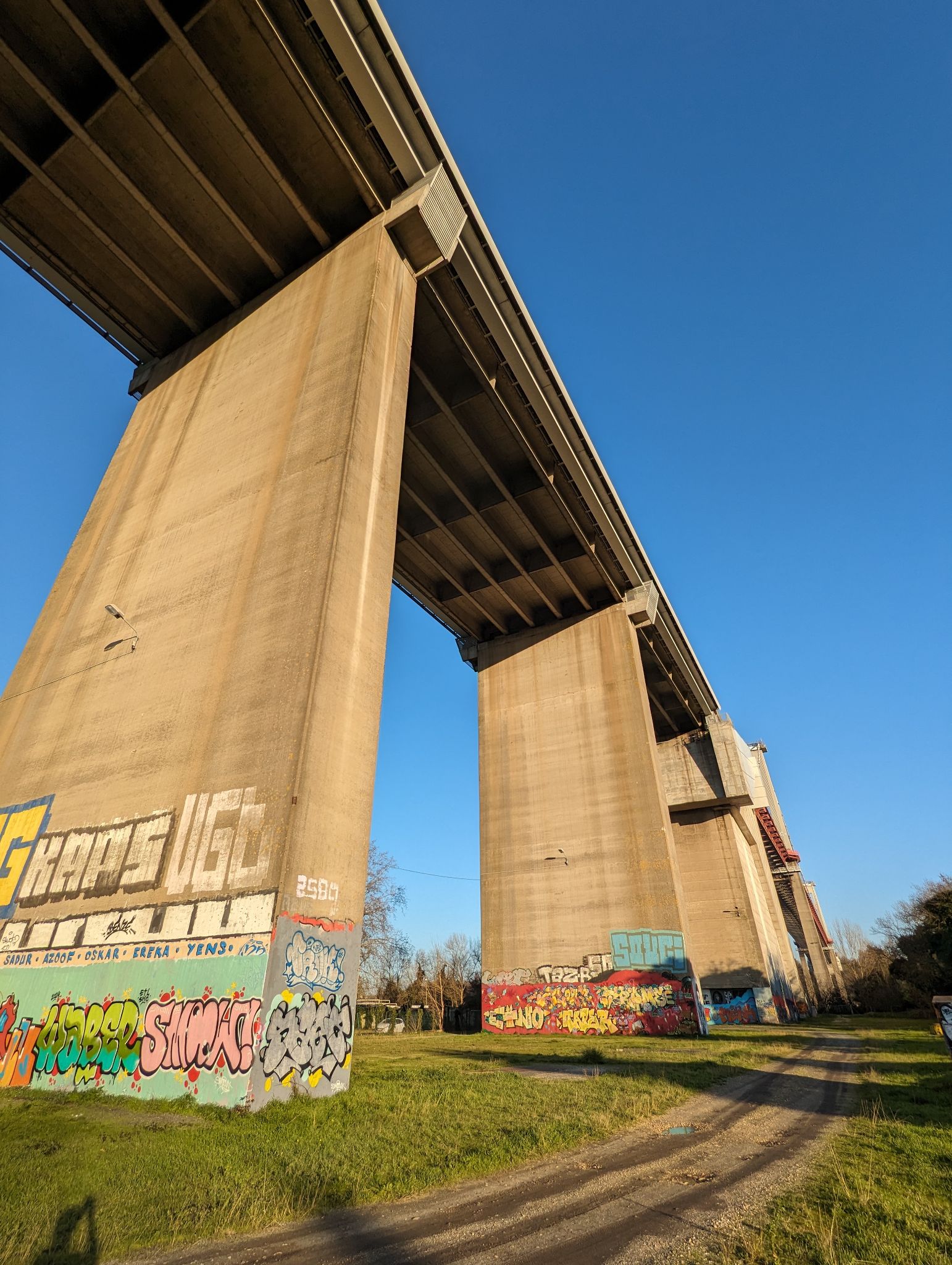 PXL 20240125 155149839