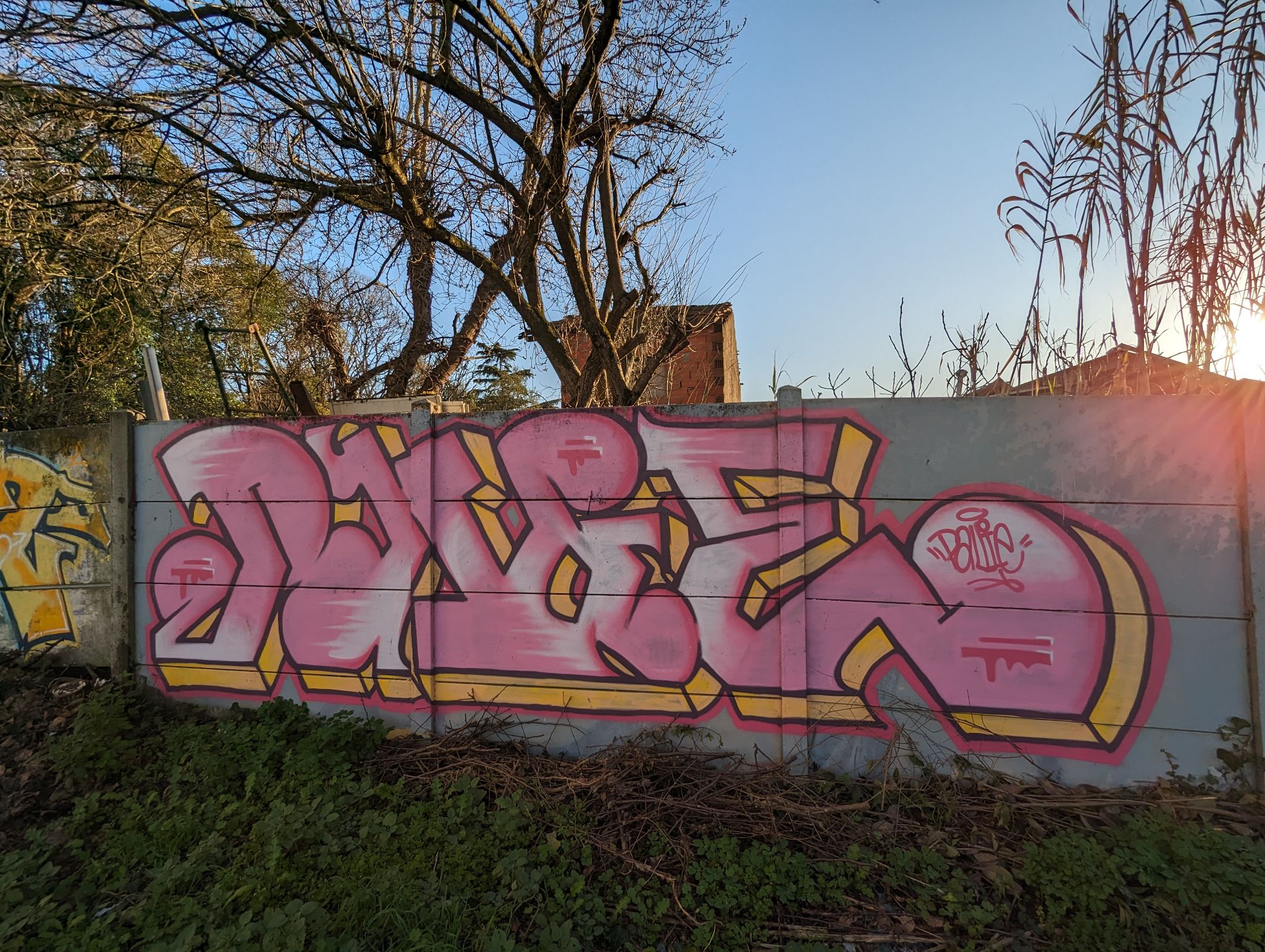 PXL 20240125 155257678