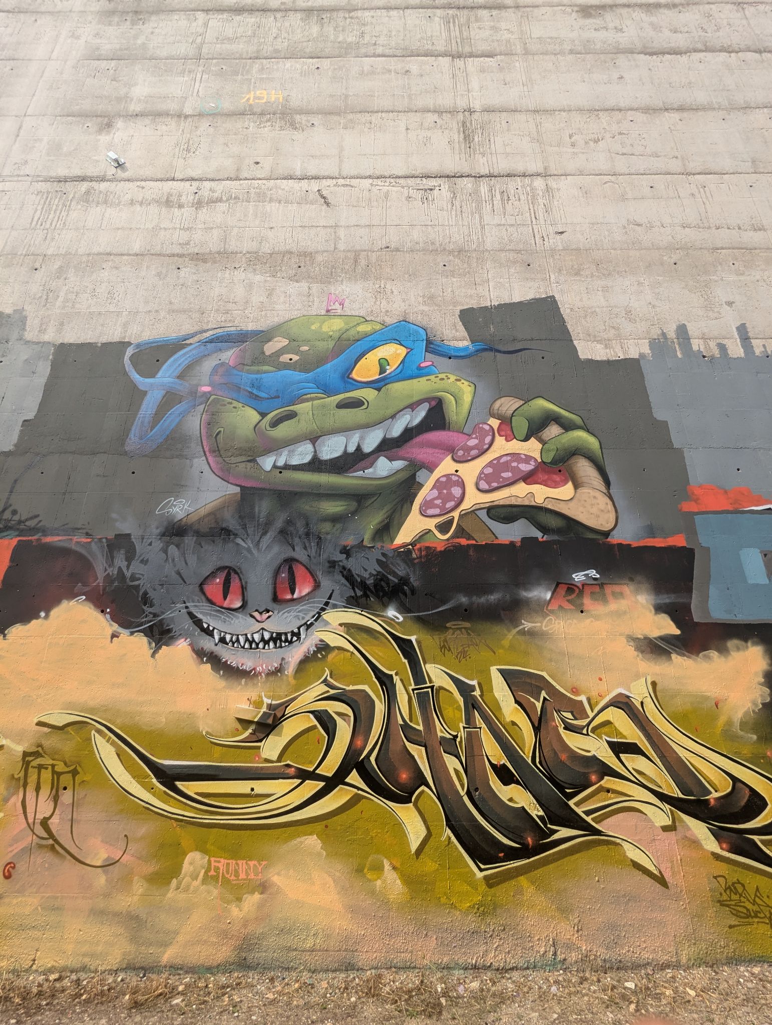 PXL 20240627 150900637