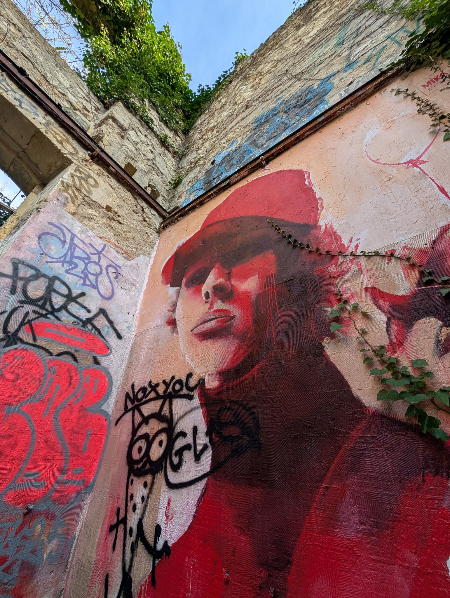 PXL 20251216 135331425