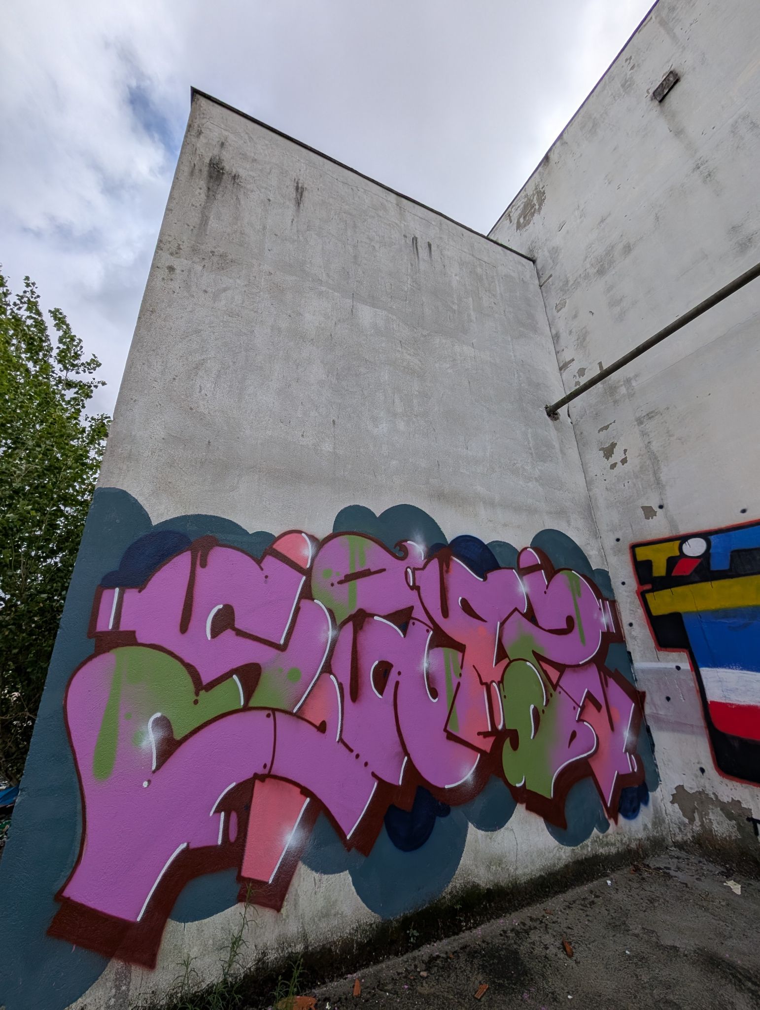 PXL 20250421 124818502