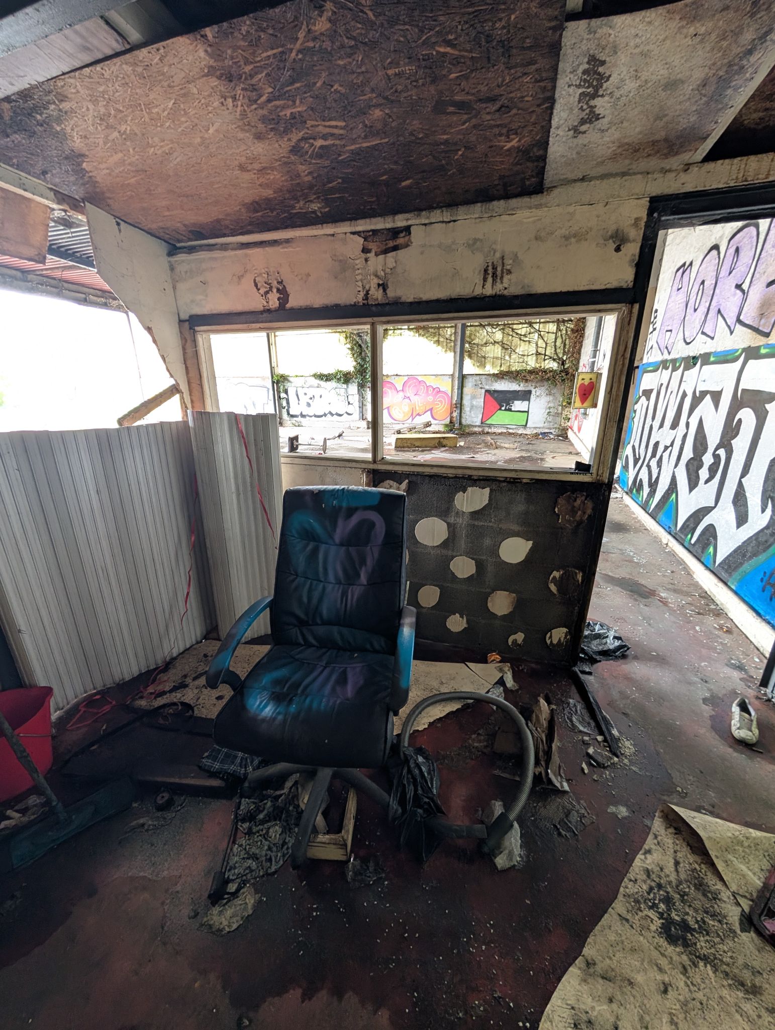 PXL 20250421 125002129