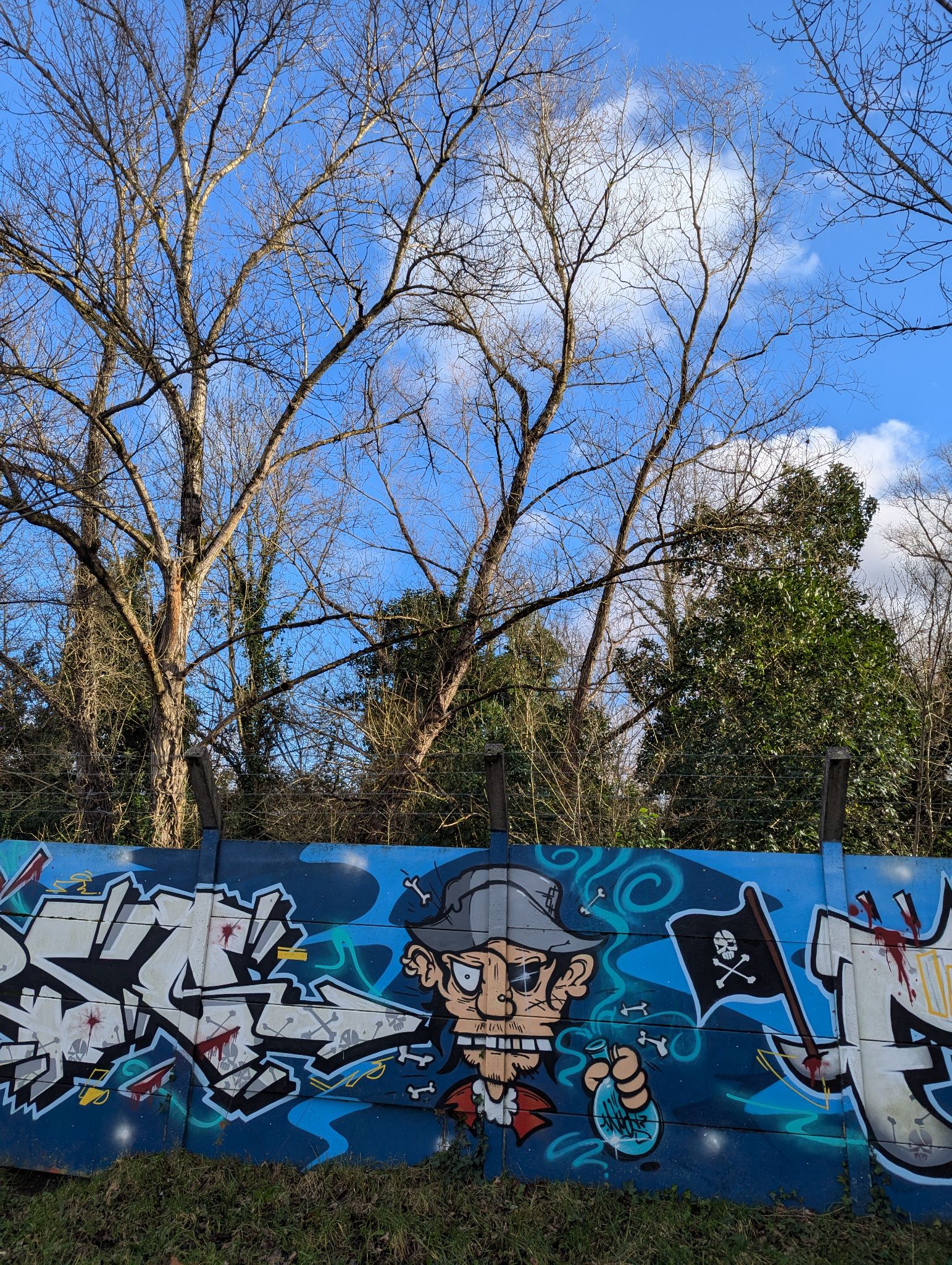 PXL 20250109 121845903