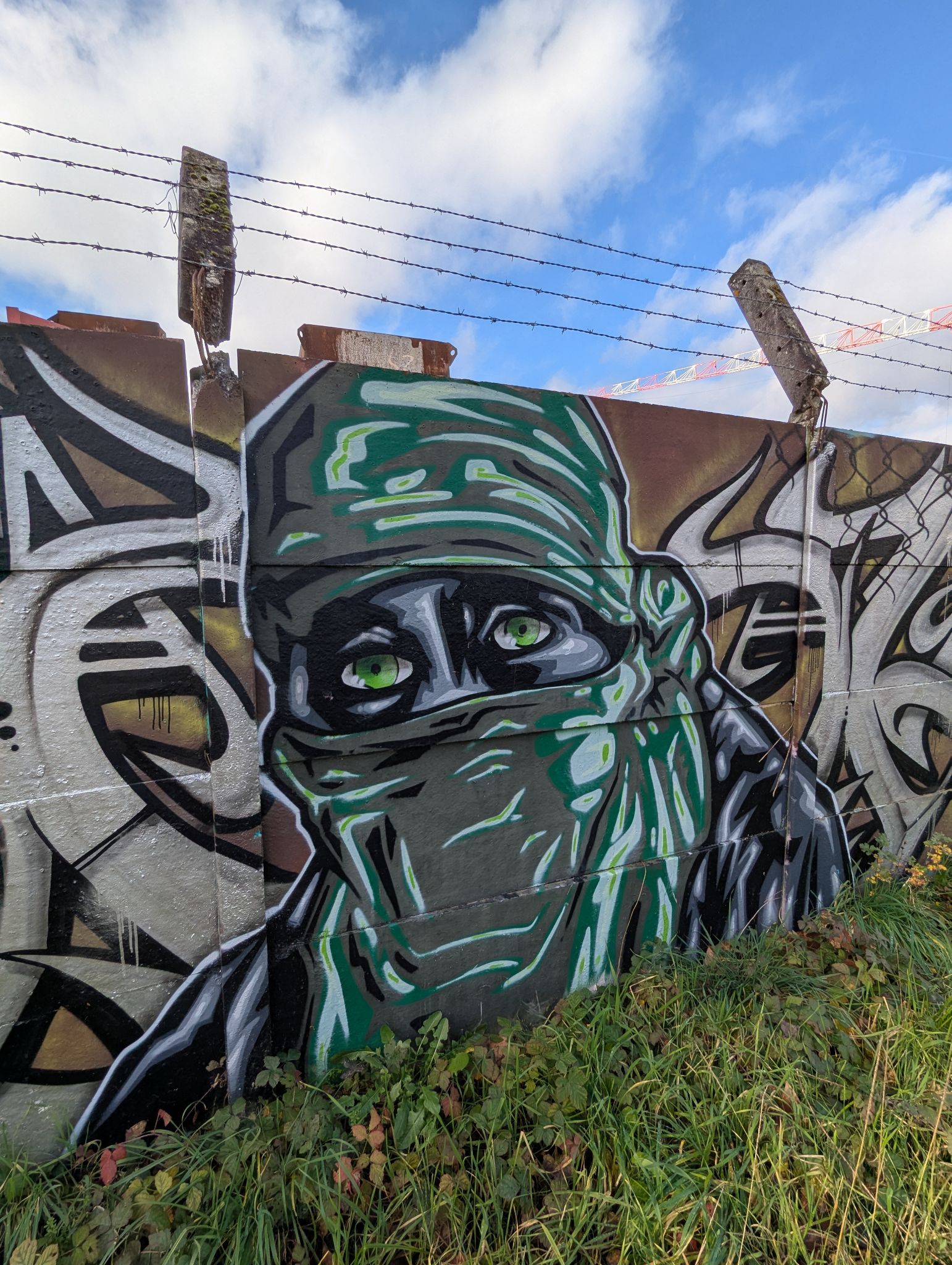 PXL 20250109 122411498