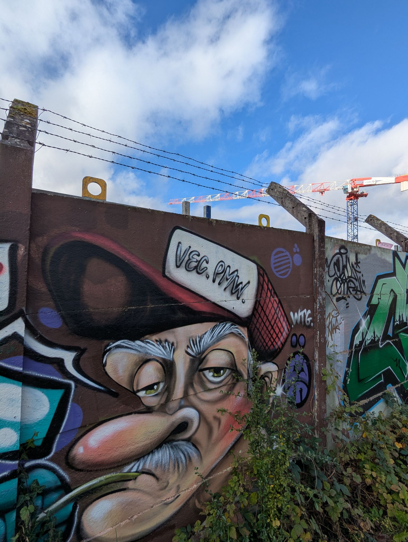 PXL 20250109 122431300