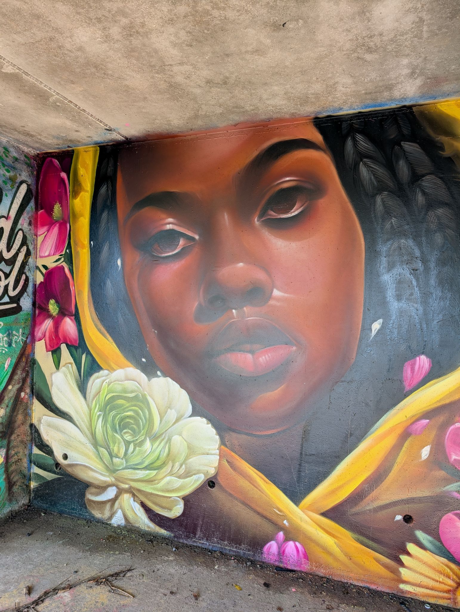 PXL 20250112 135014869