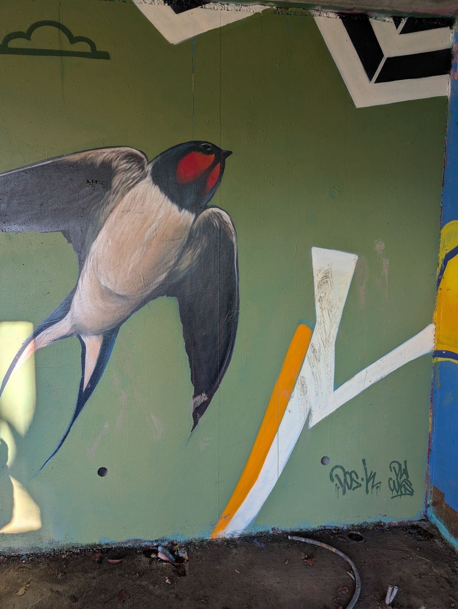 PXL 20250112 135028989