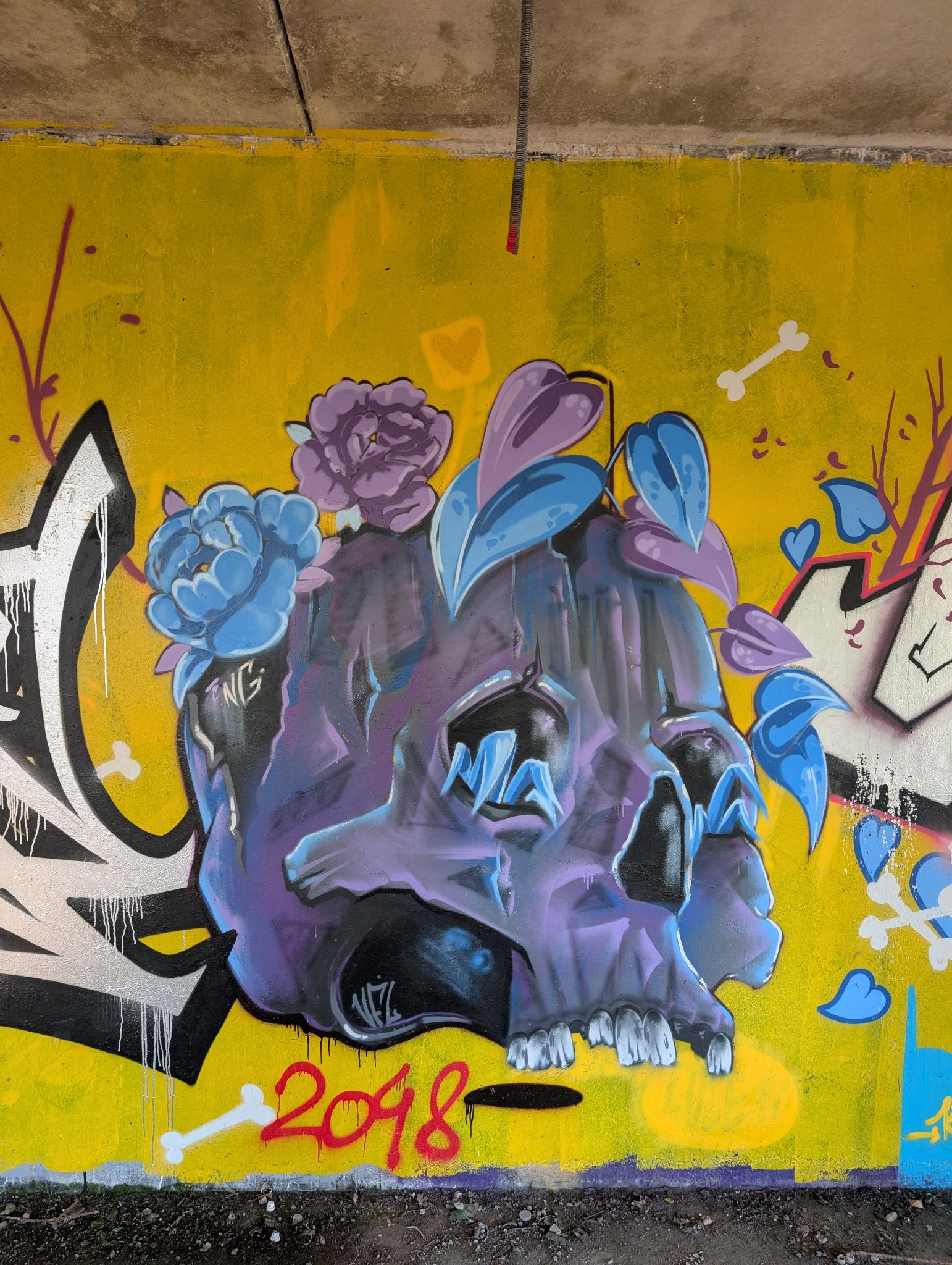 PXL 20250112 135058064.MP