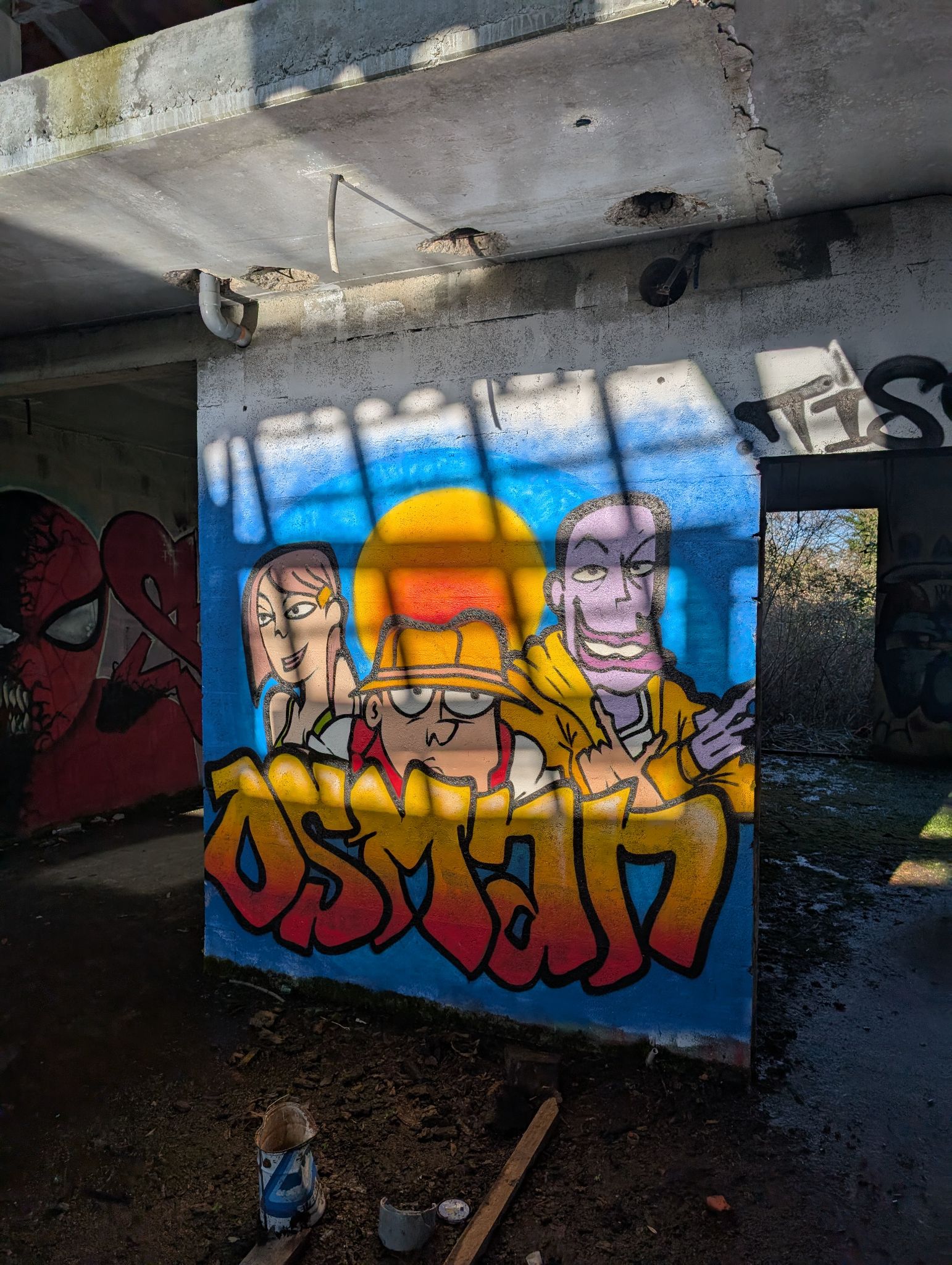 PXL 20250112 140729621