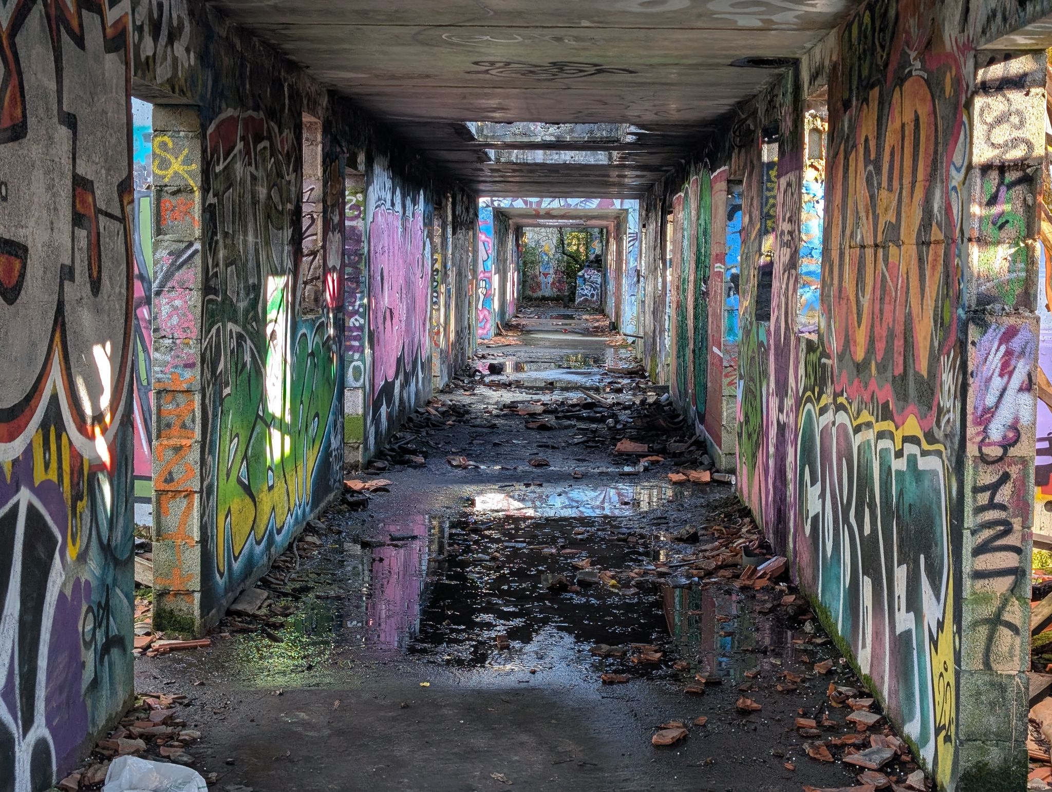 PXL 20250112 142046025