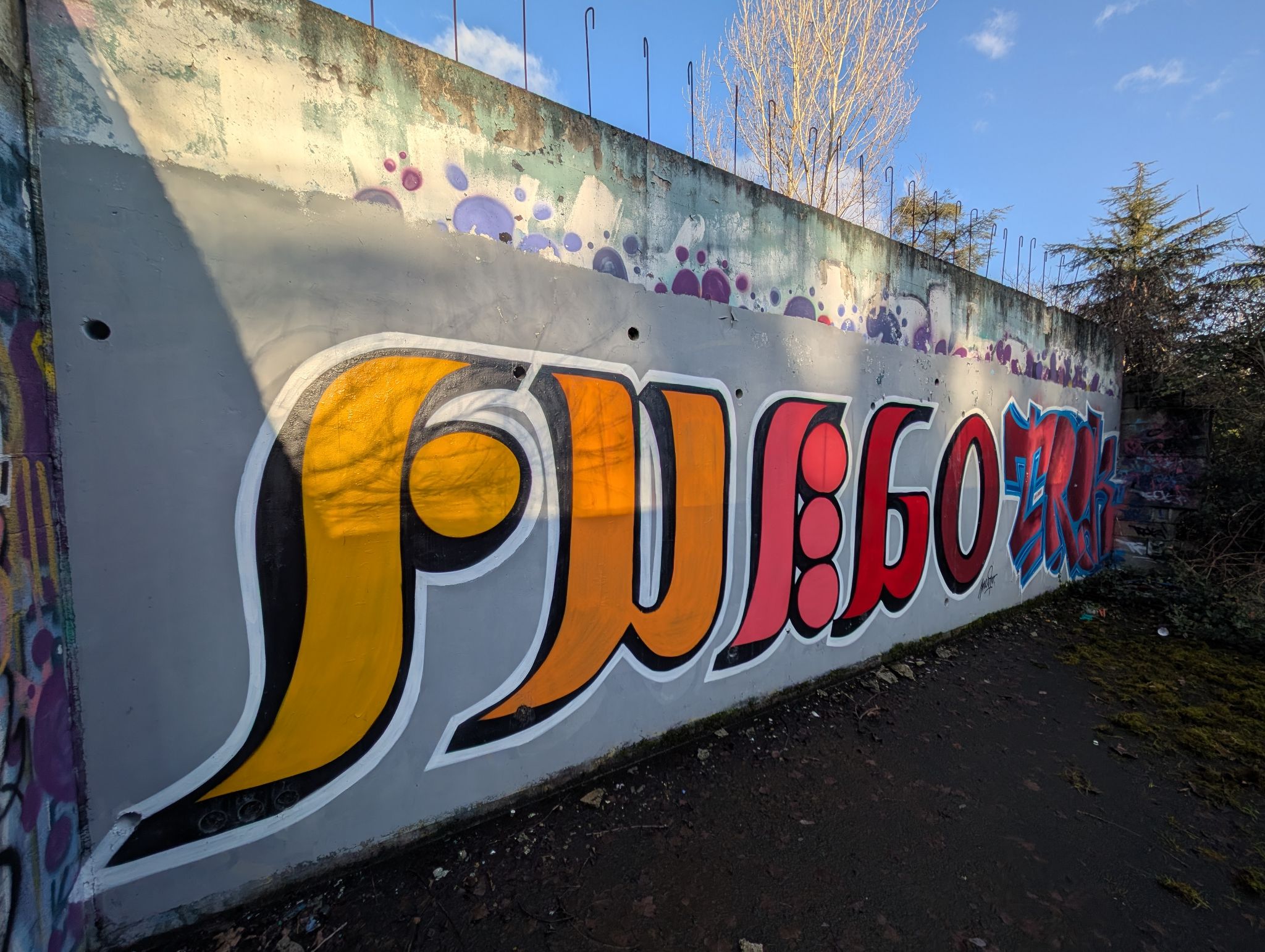 PXL 20250112 142551647