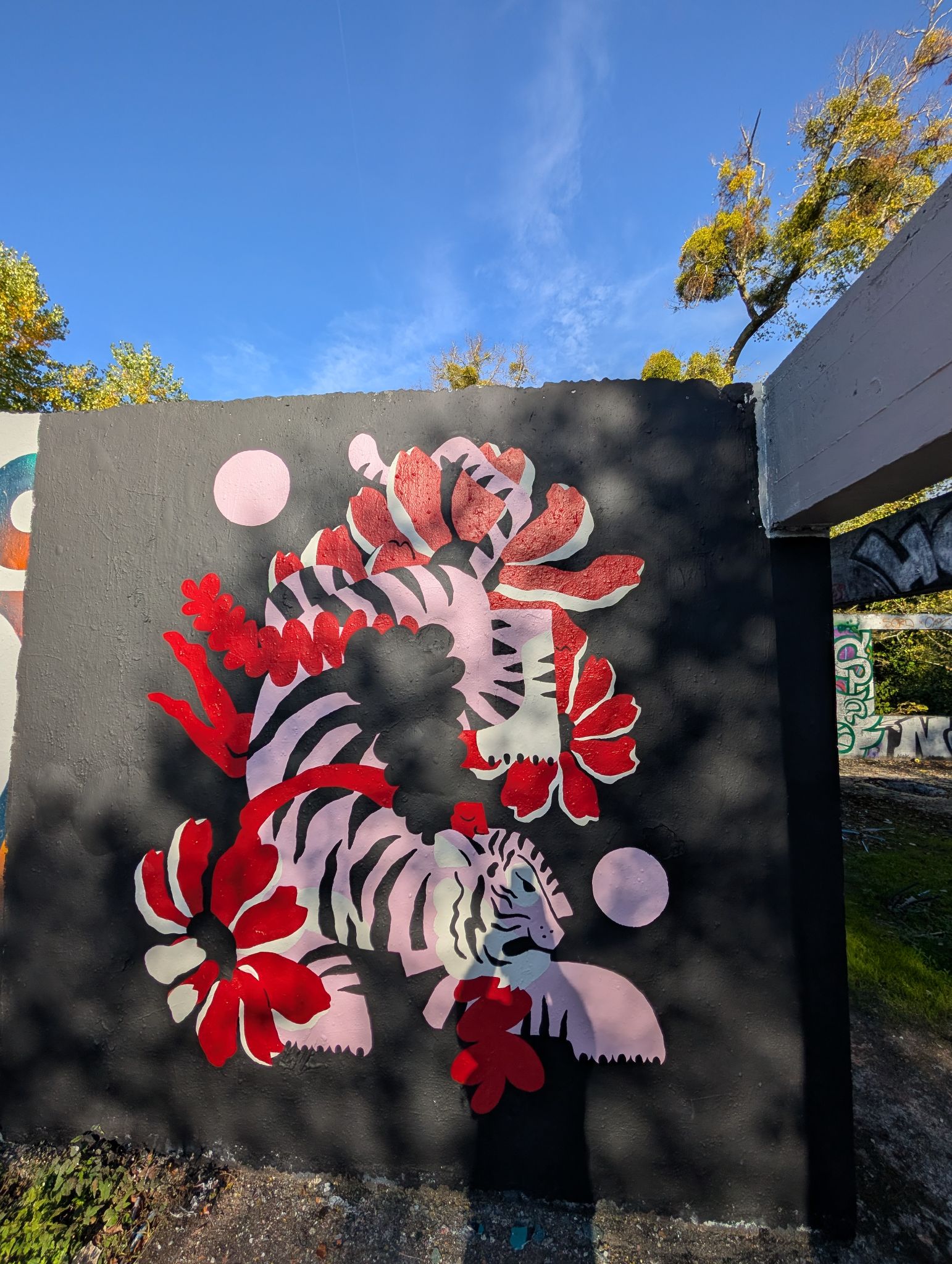 PXL 20251018 143809158