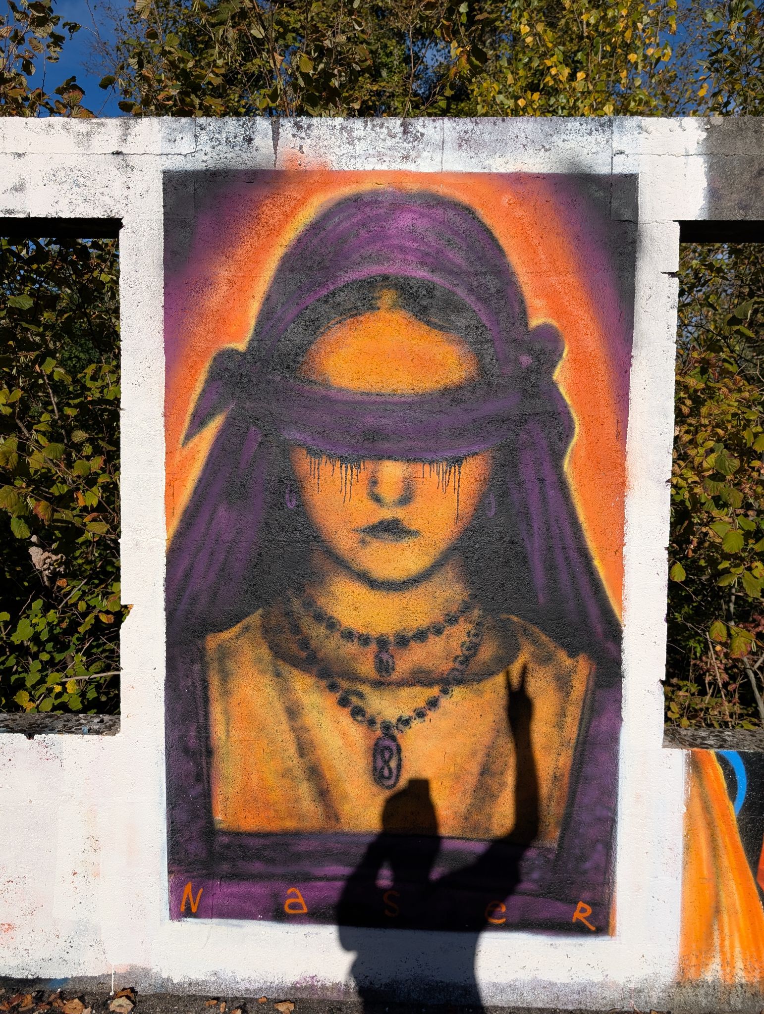 PXL 20251018 143919770.MP