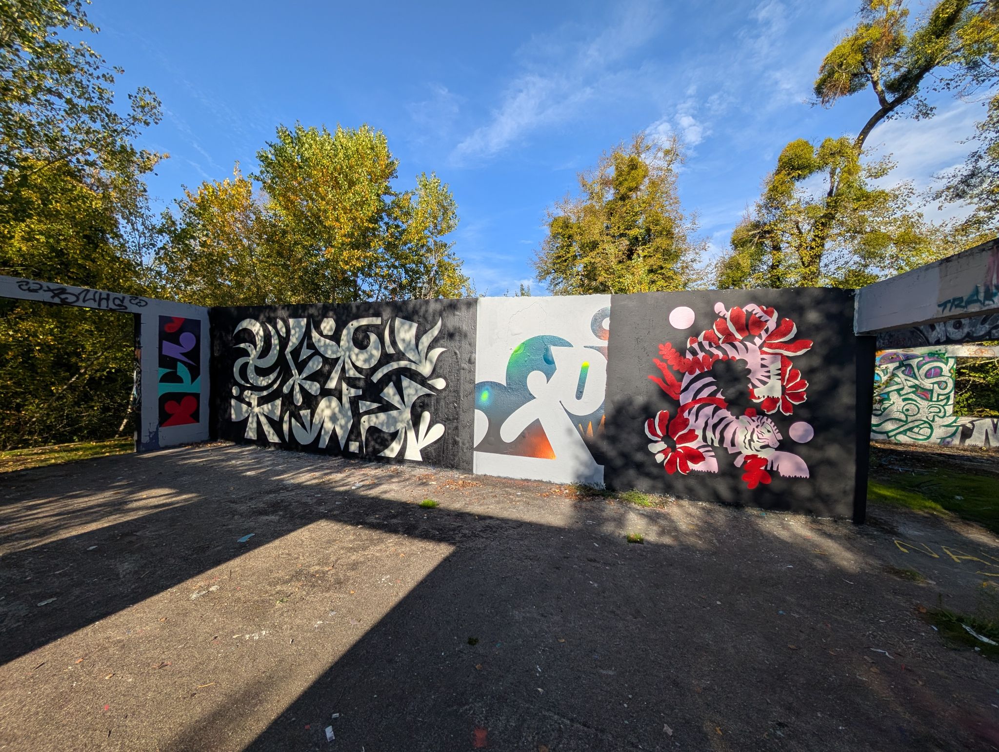 PXL 20251018 144004917