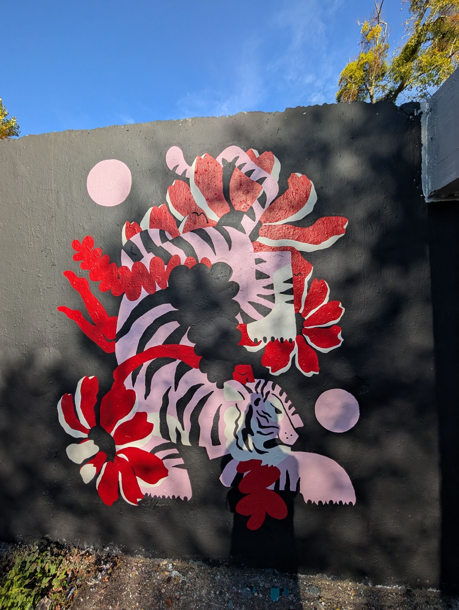 PXL 20251018 144013784