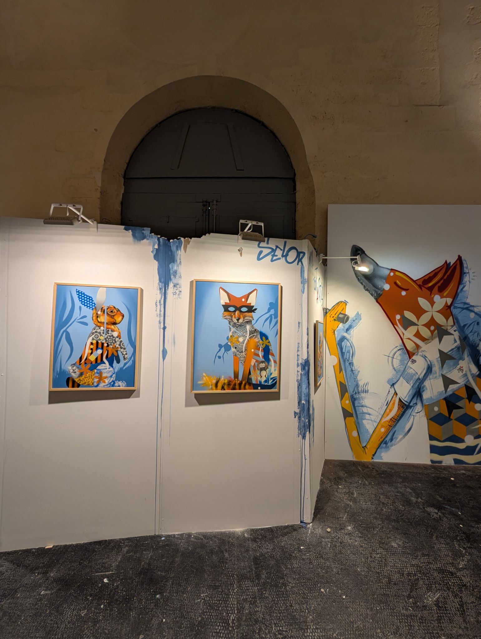 PXL 20250213 130049368