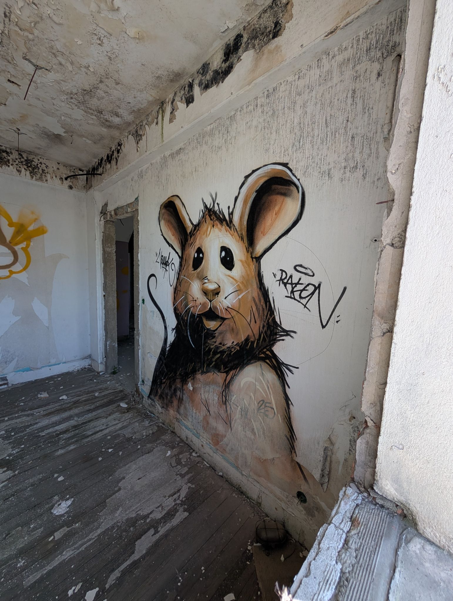 PXL 20250410 131608965