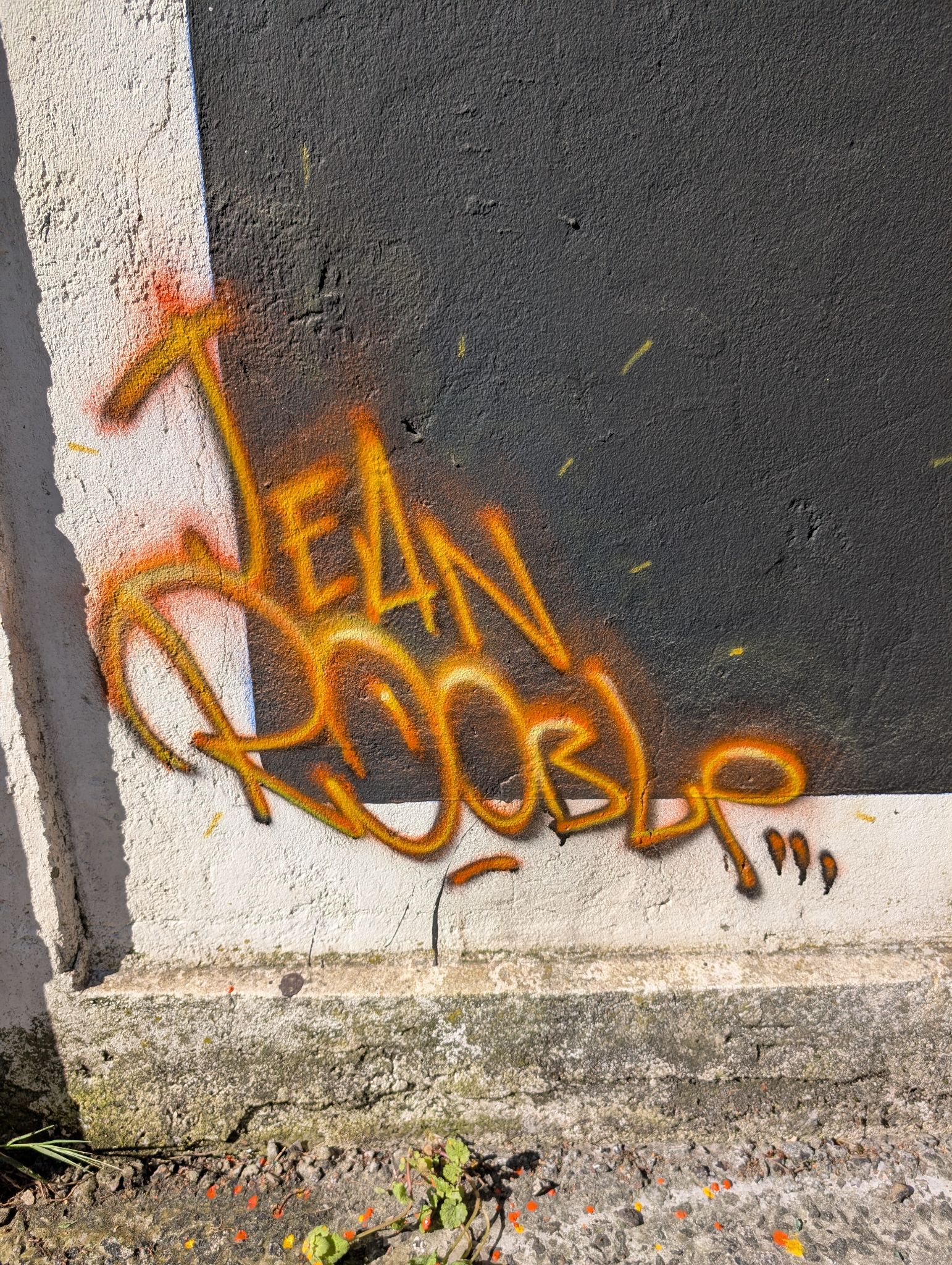 PXL 20250416 084500625