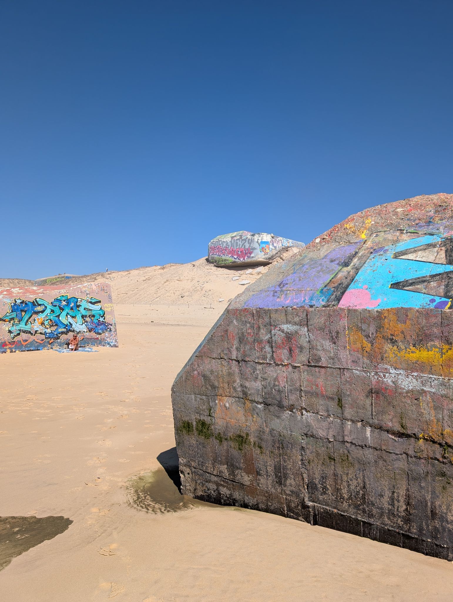 PXL 20260408 135519372