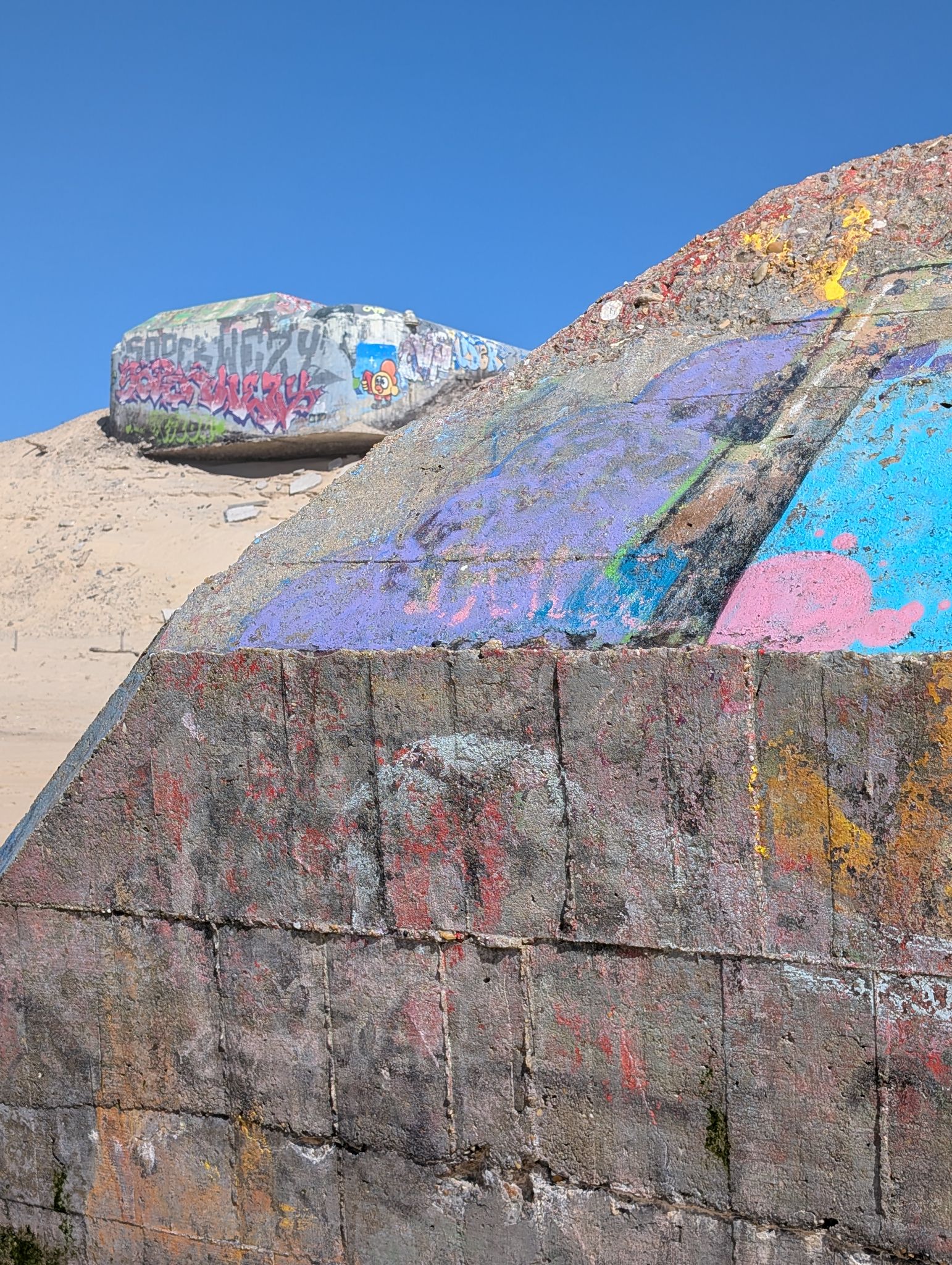 PXL 20260408 135537111