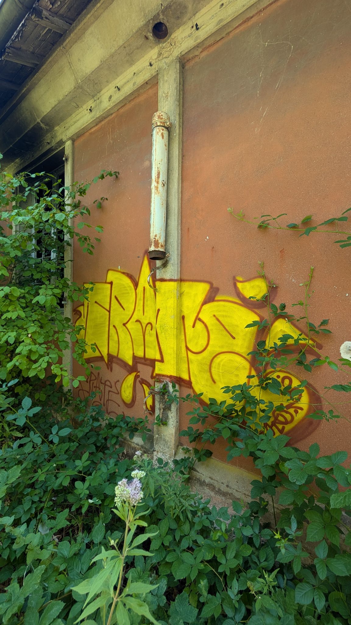 PXL 20260711 123402535