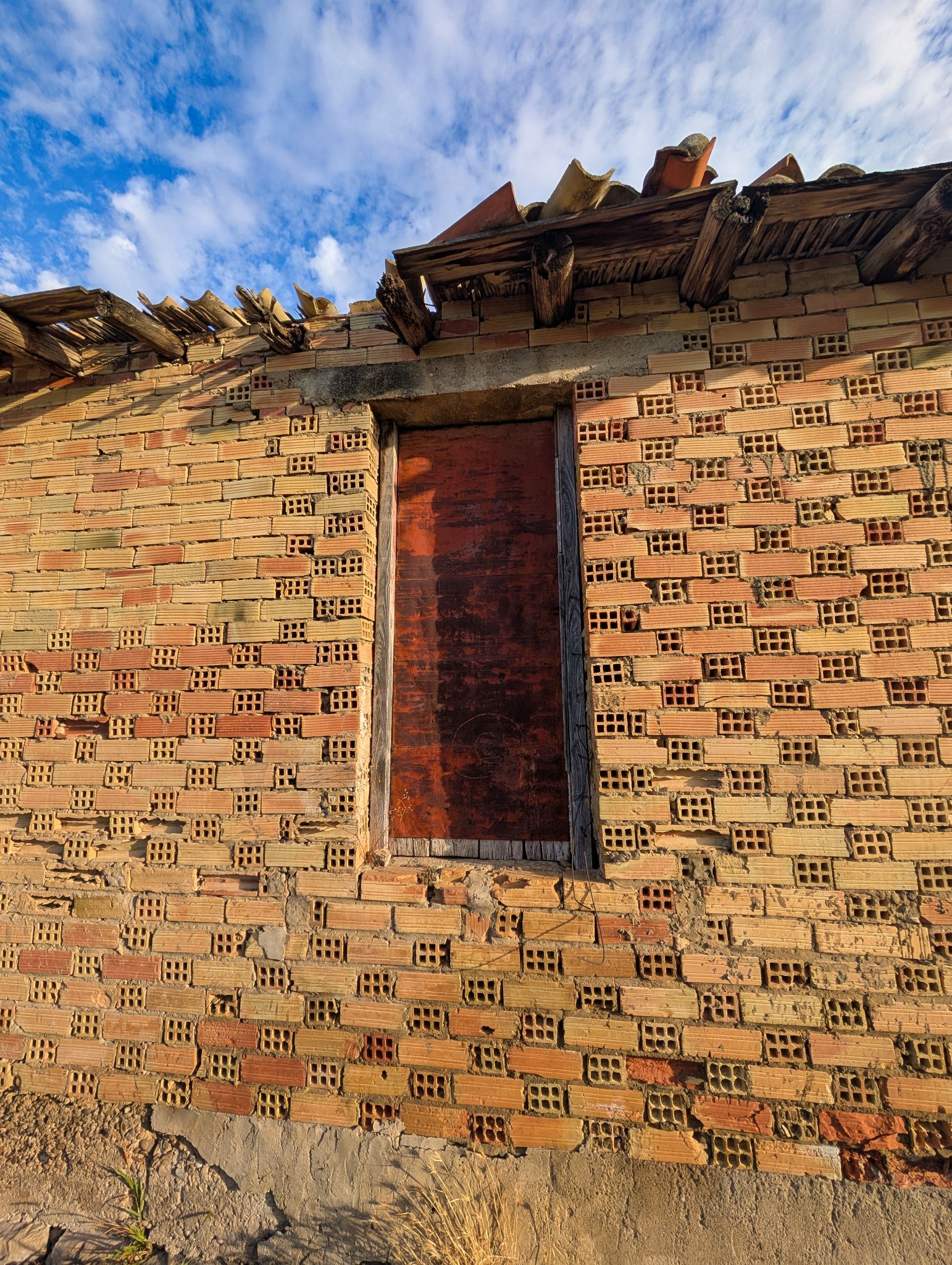 PXL 20250904 065644074