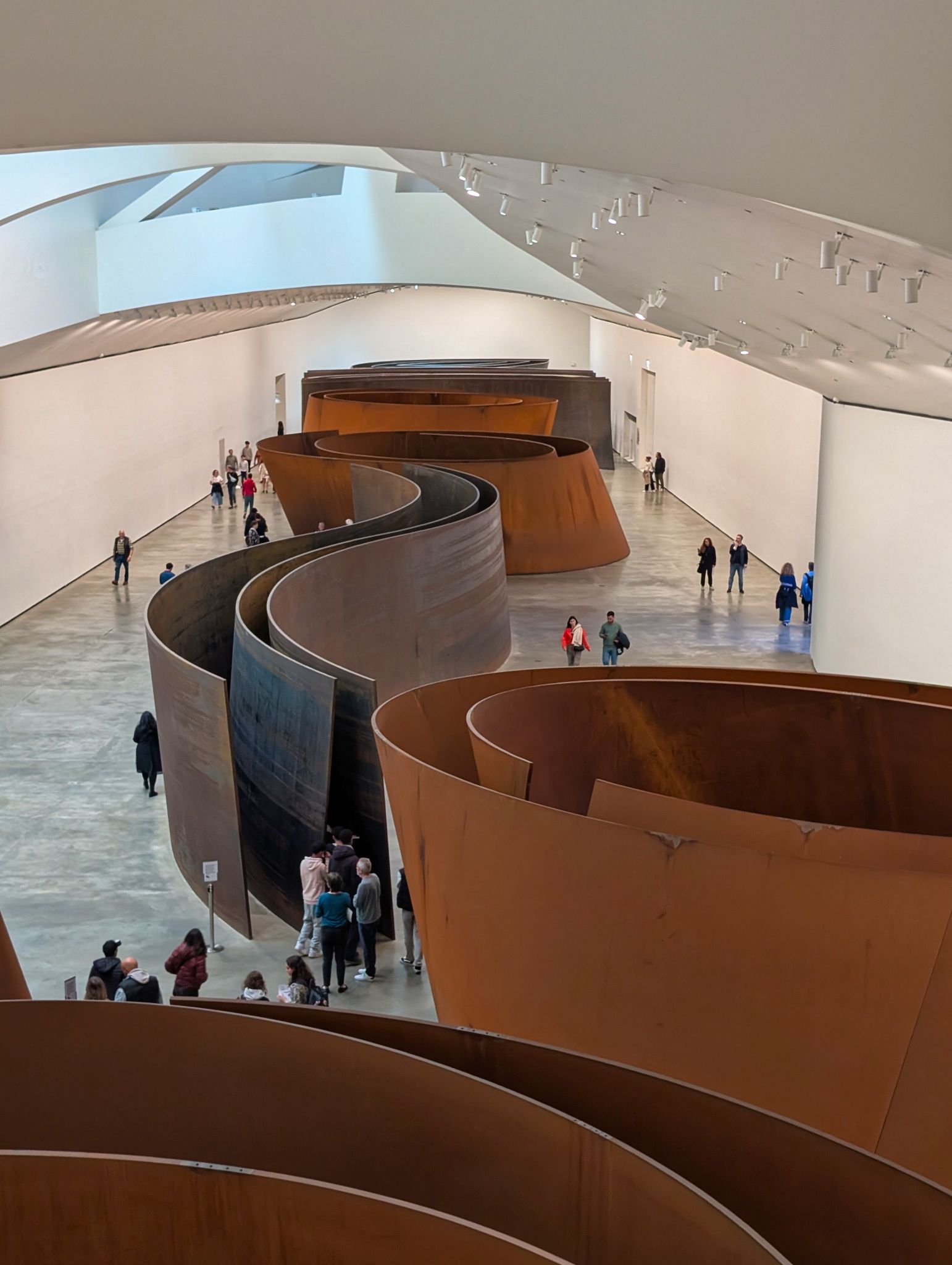 PXL 20250509 091608629