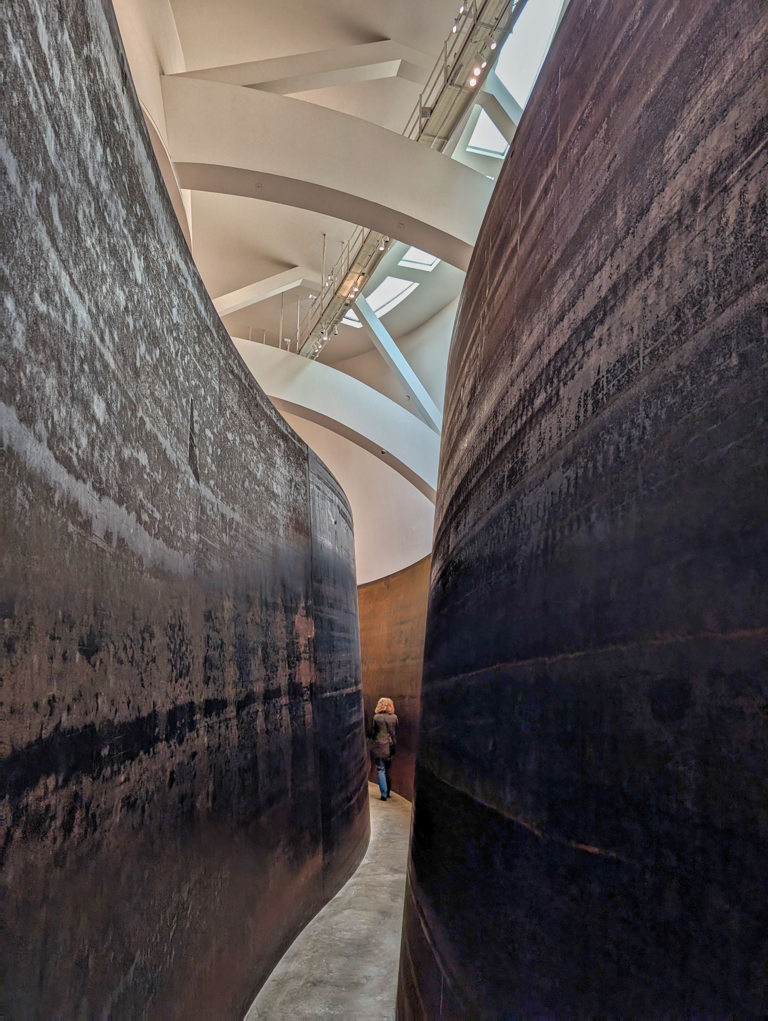 PXL 20250509 101723108