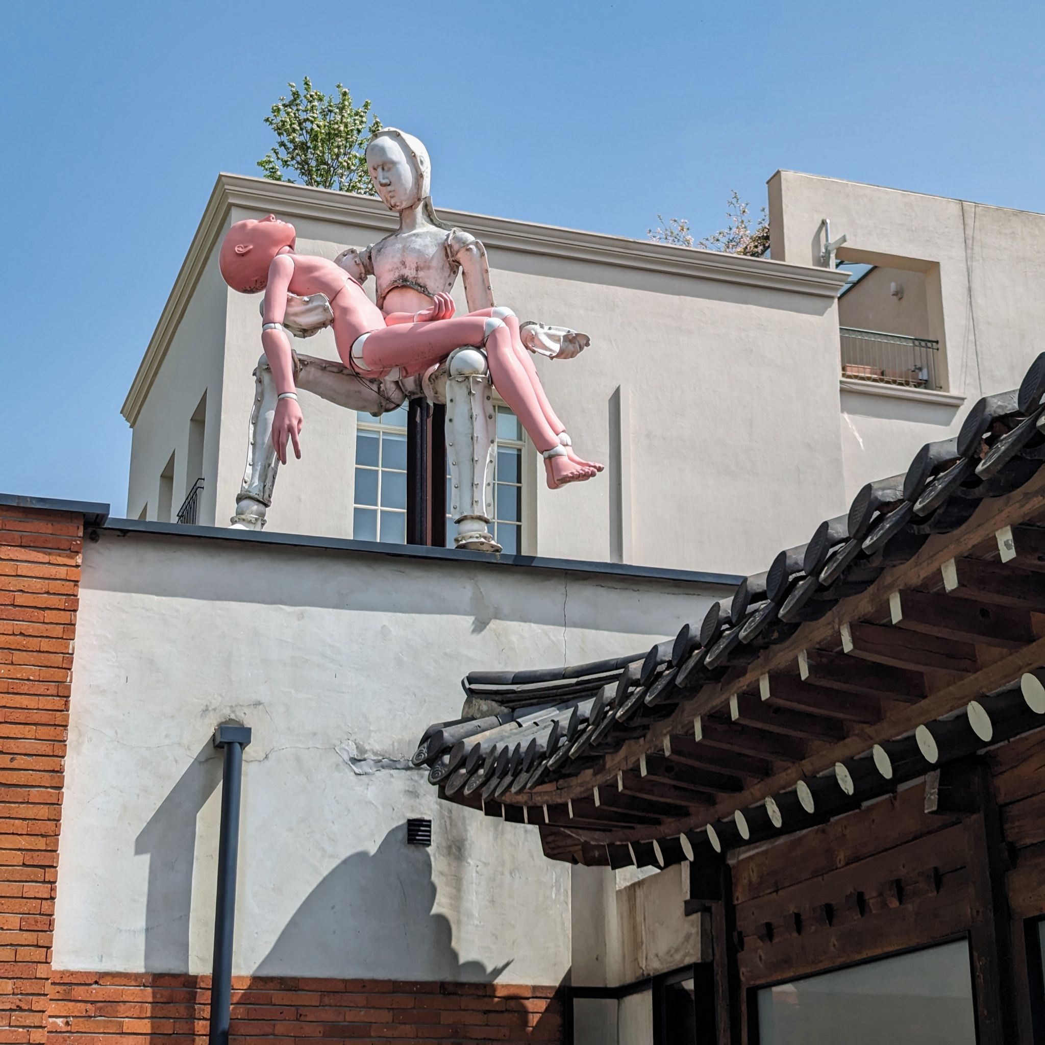 PXL 20240418 014413214