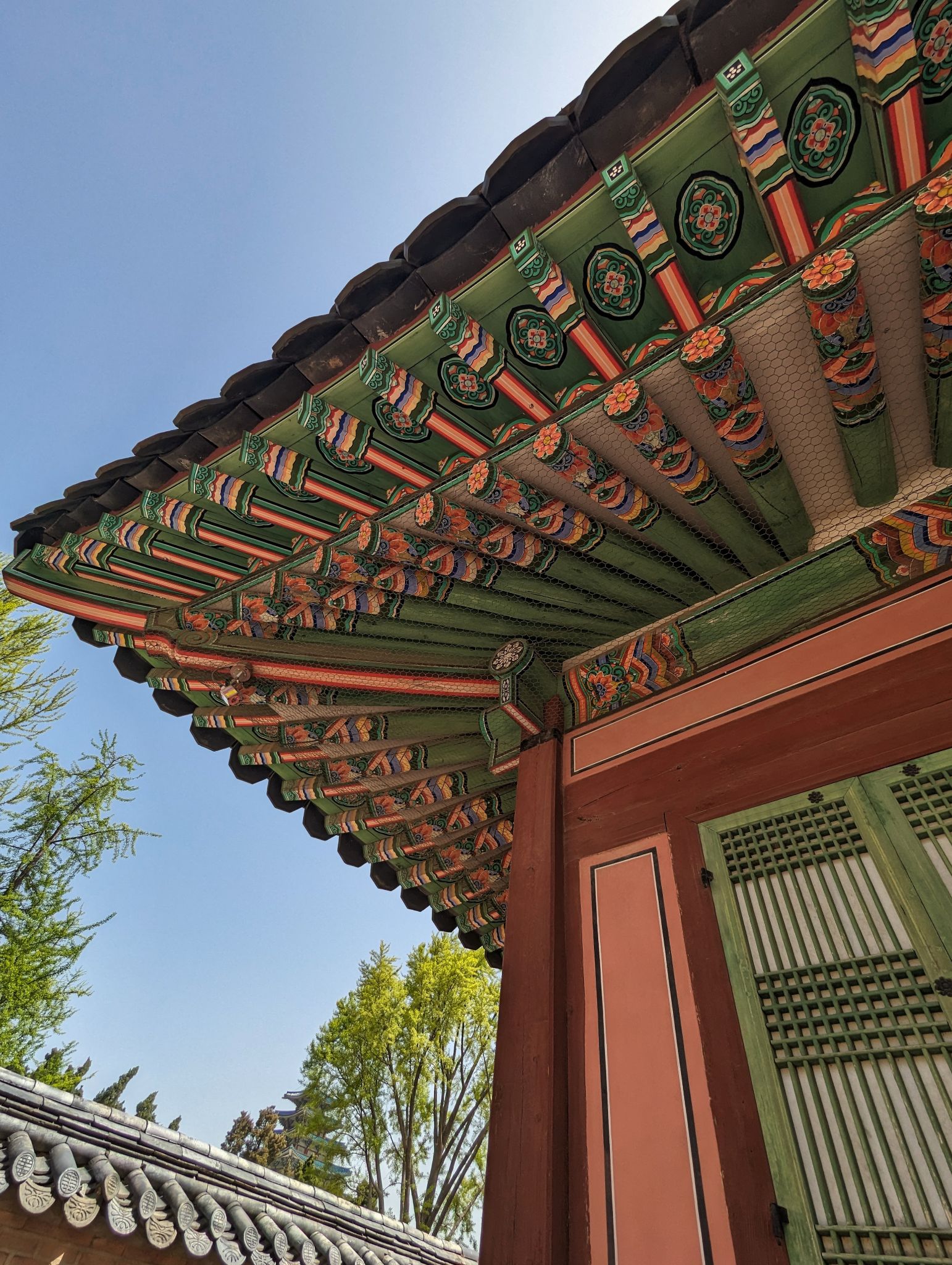 PXL 20240418 022214893