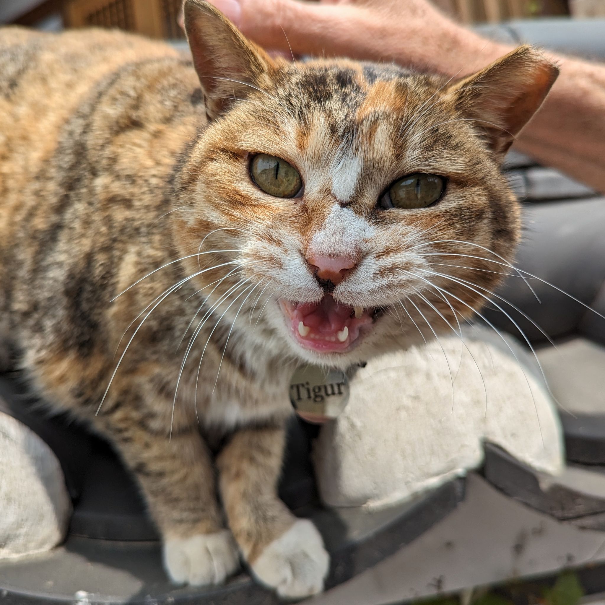 PXL 20240419 045752505