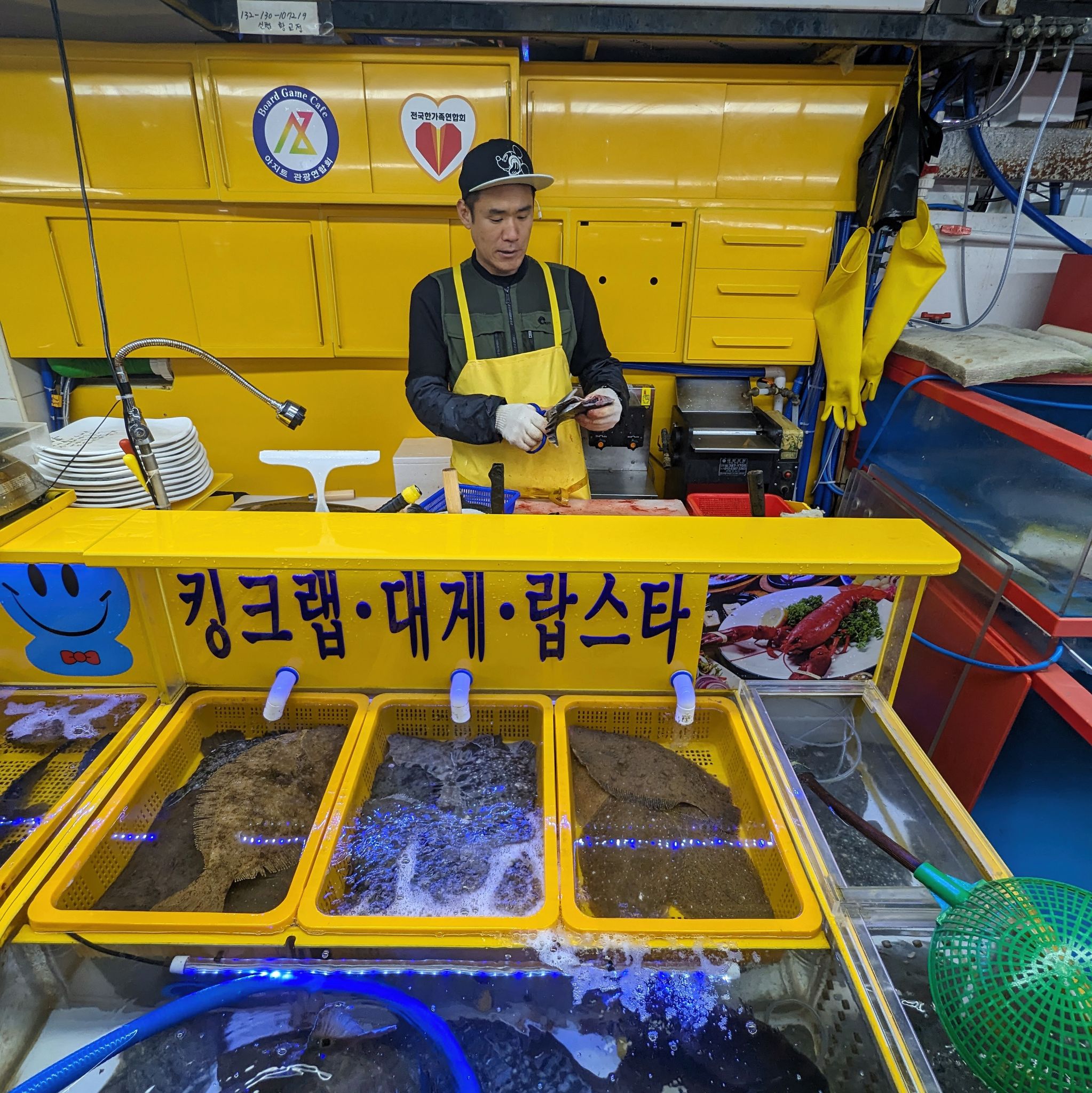 PXL 20240422 025038726.MP