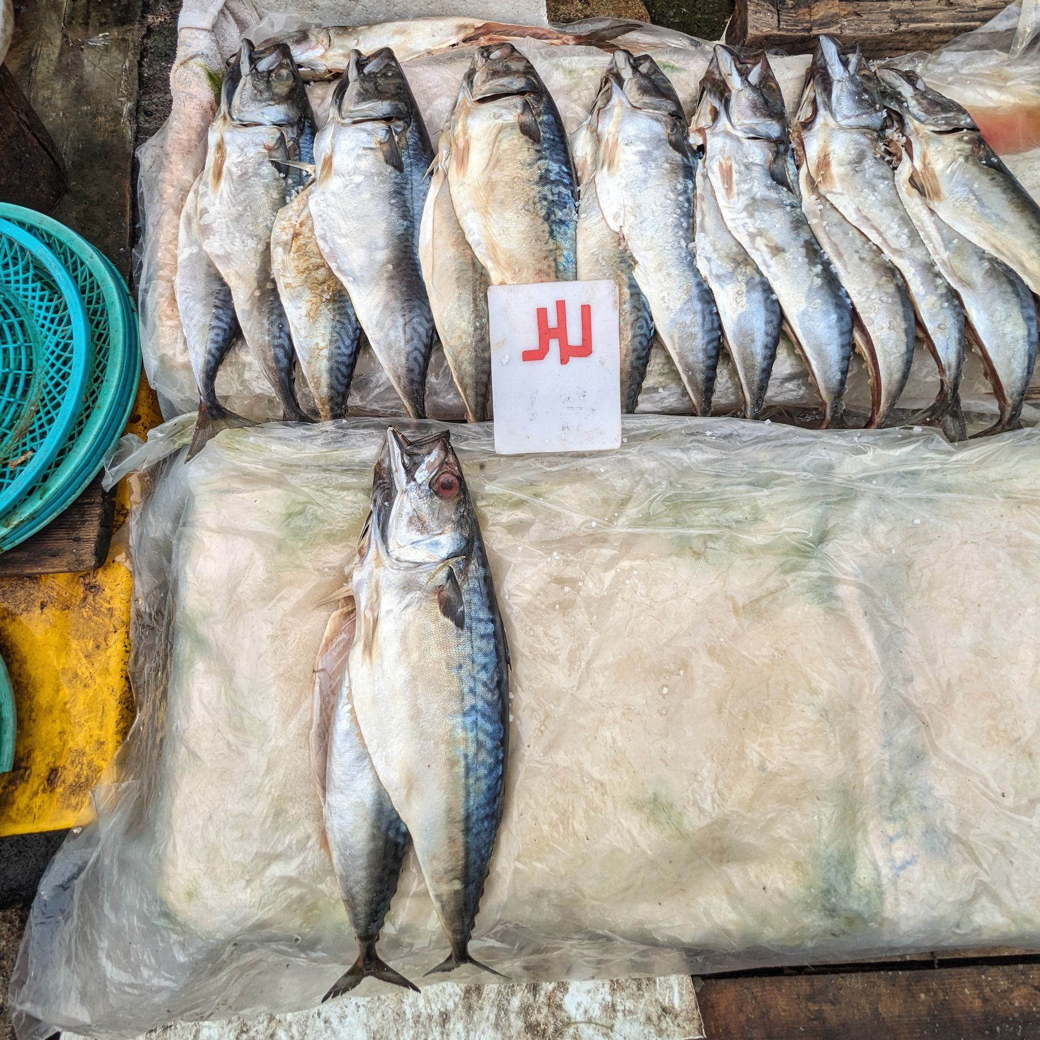 PXL 20240422 031419001