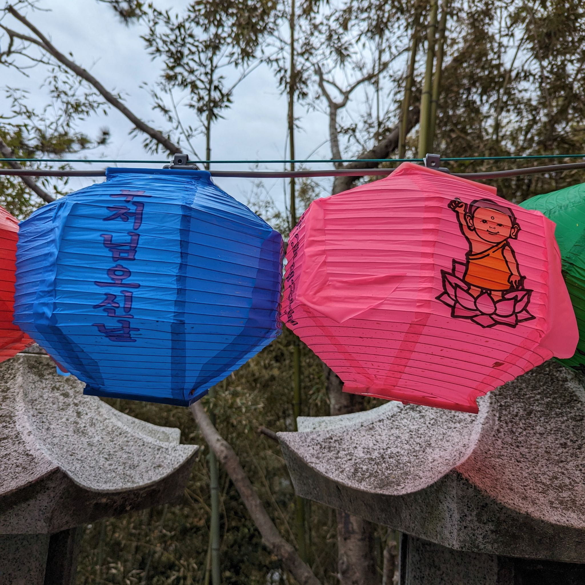 PXL 20240422 055844112