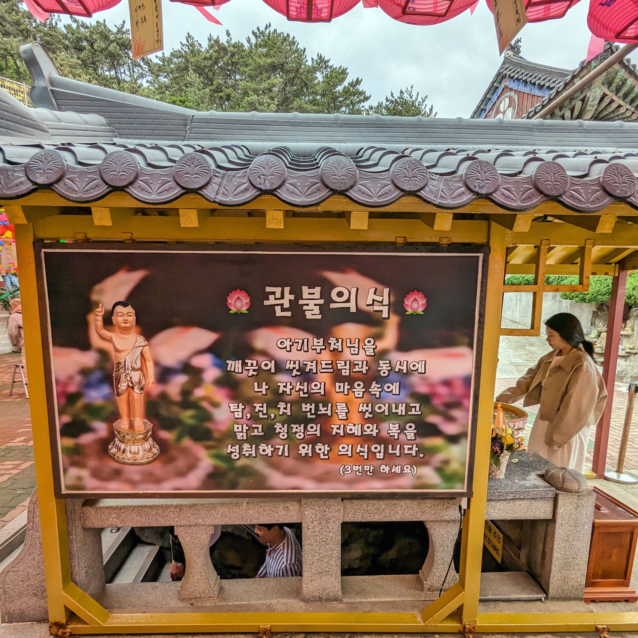 PXL 20240422 060838835