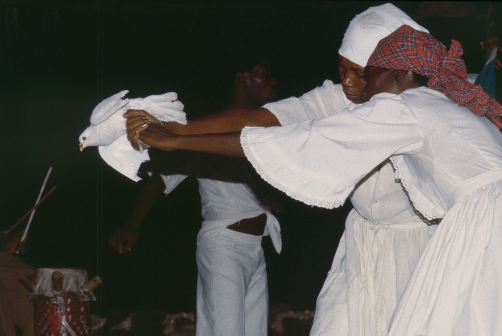 Haiti 48 1981