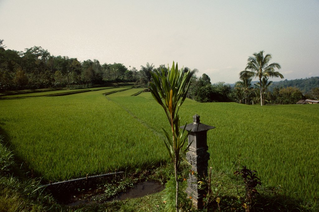 Indonesia 29 1991