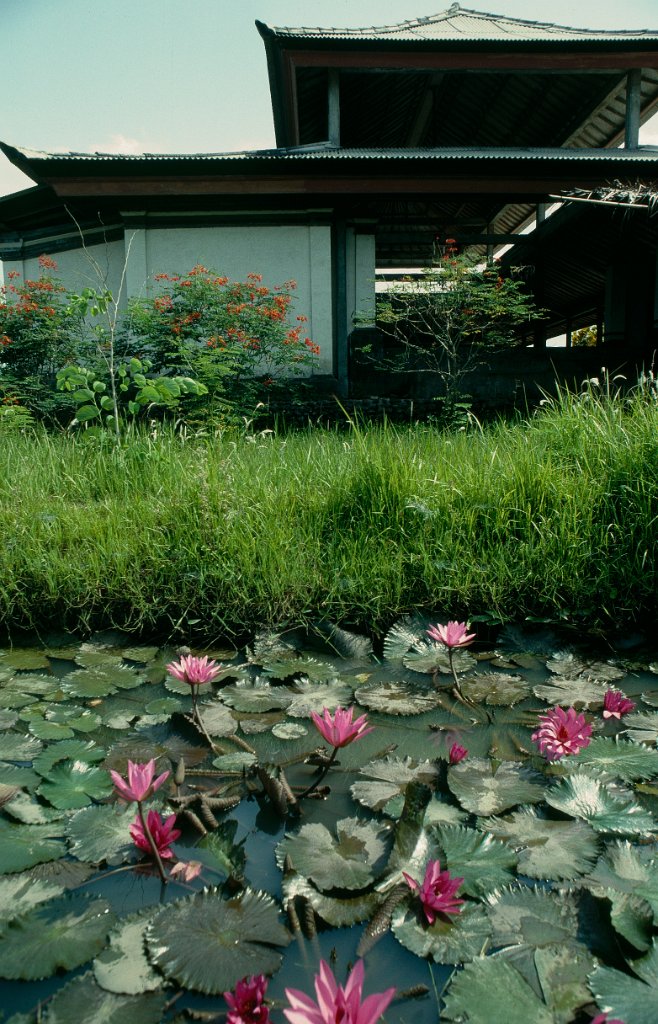 Indonesia 54 1991