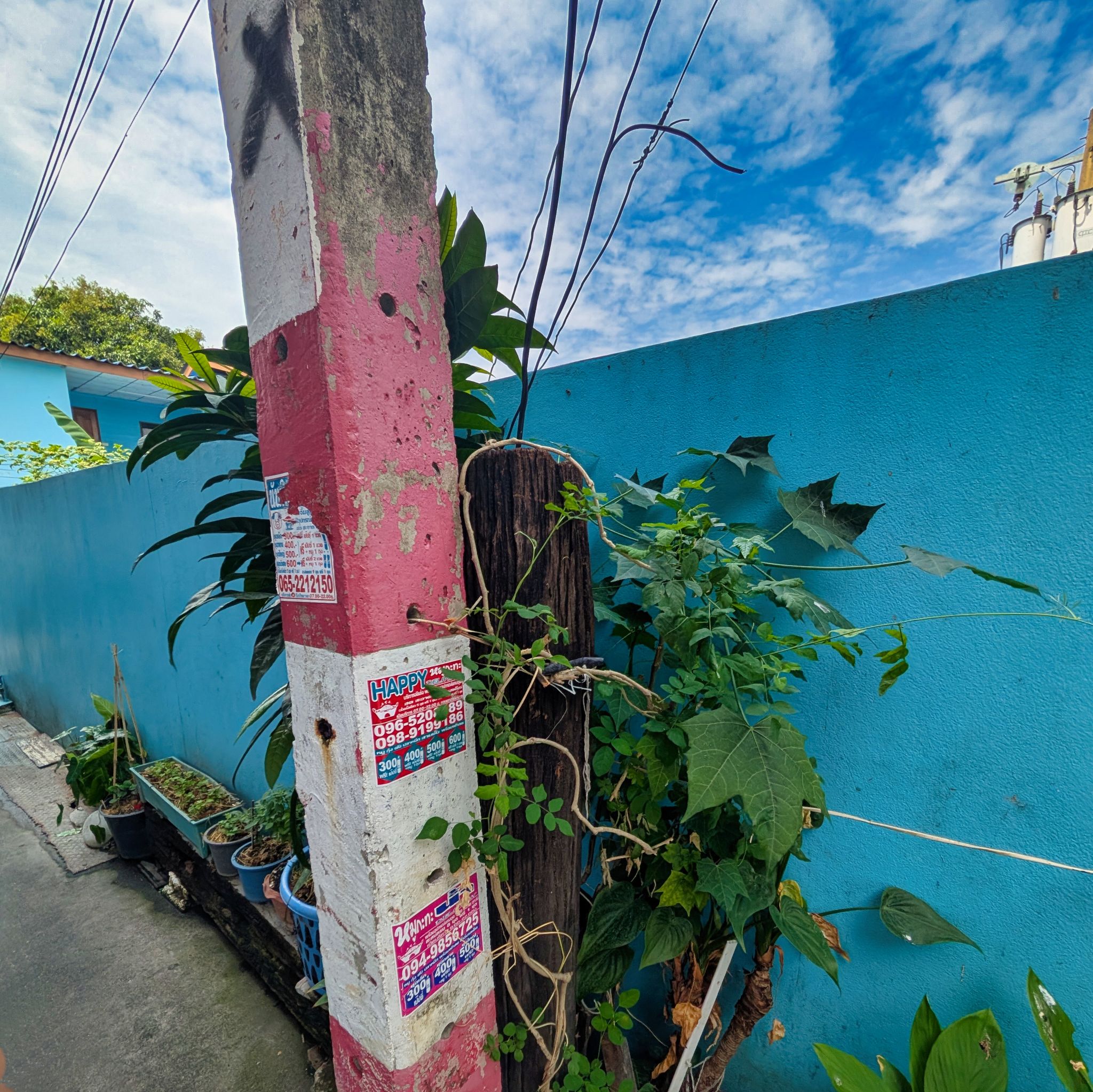 PXL 20250226 062210385