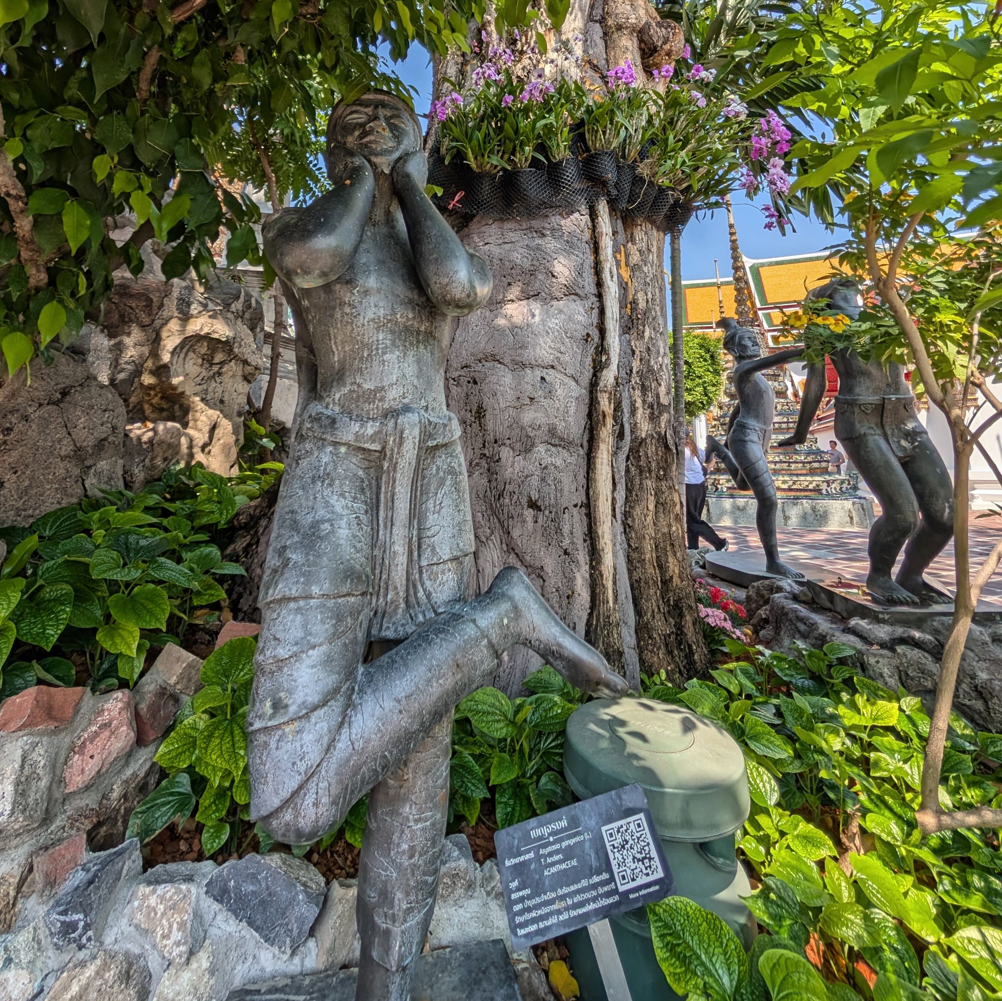 PXL 20250227 041650685