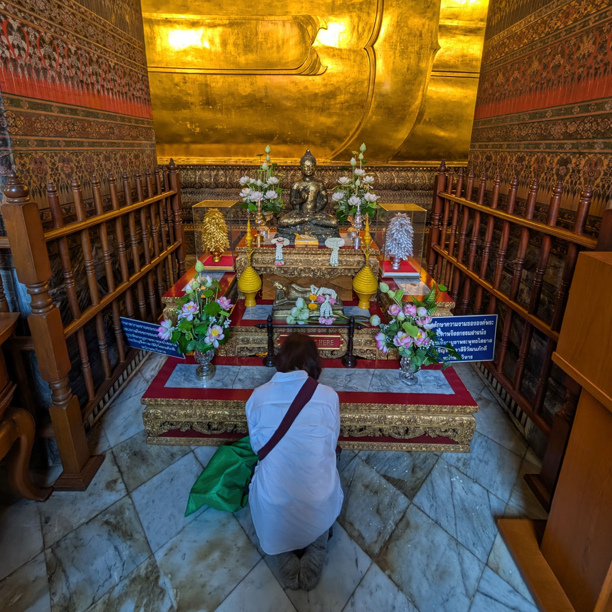 PXL 20250227 044702067