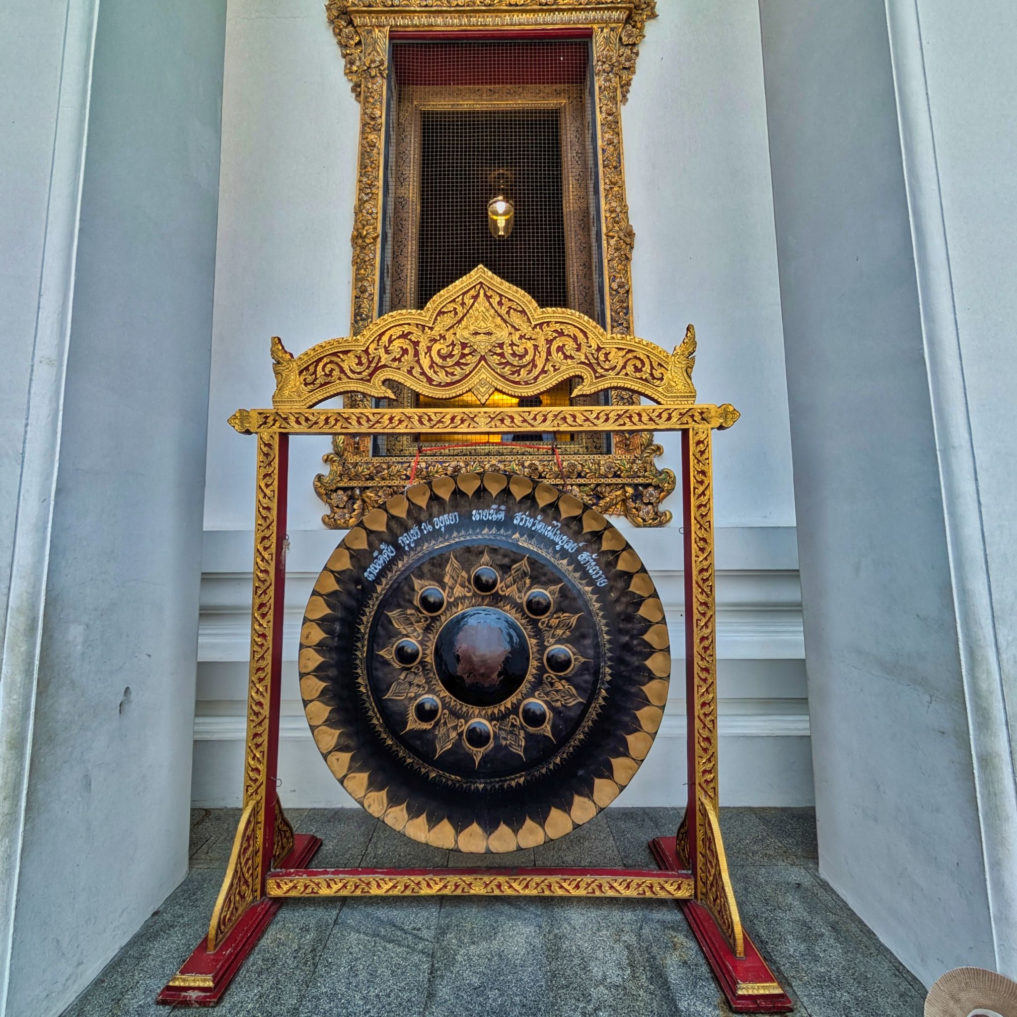 PXL 20250227 045650771