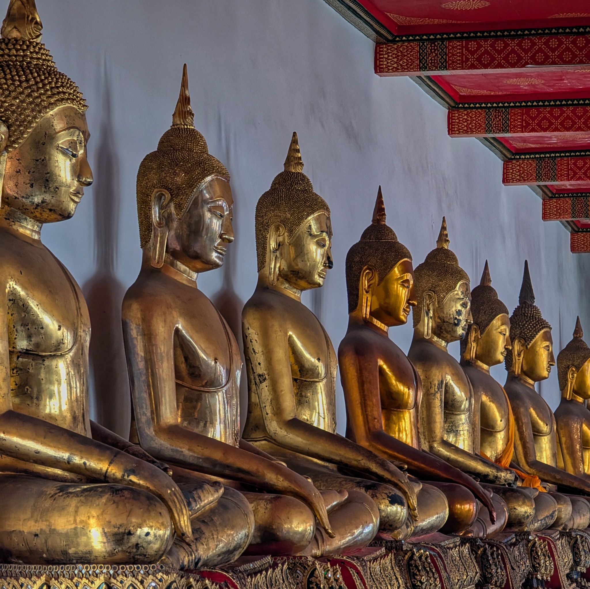 PXL 20250227 051050030