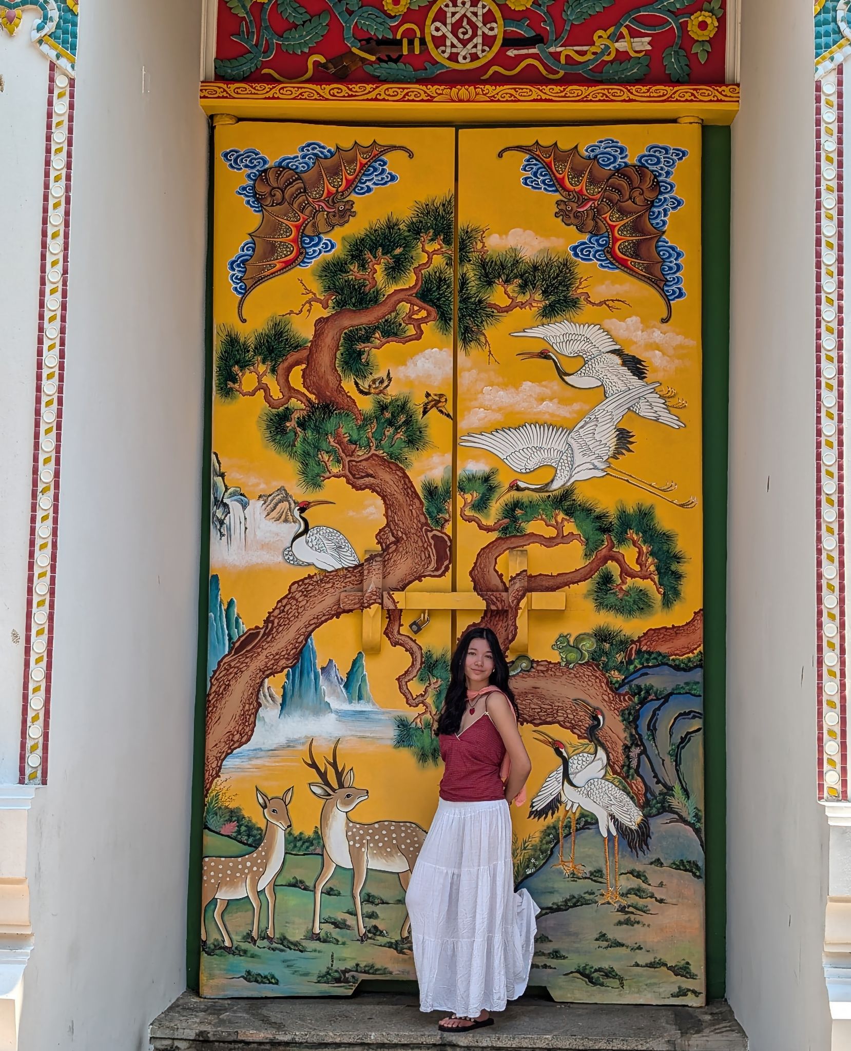 PXL 20250227 051549520